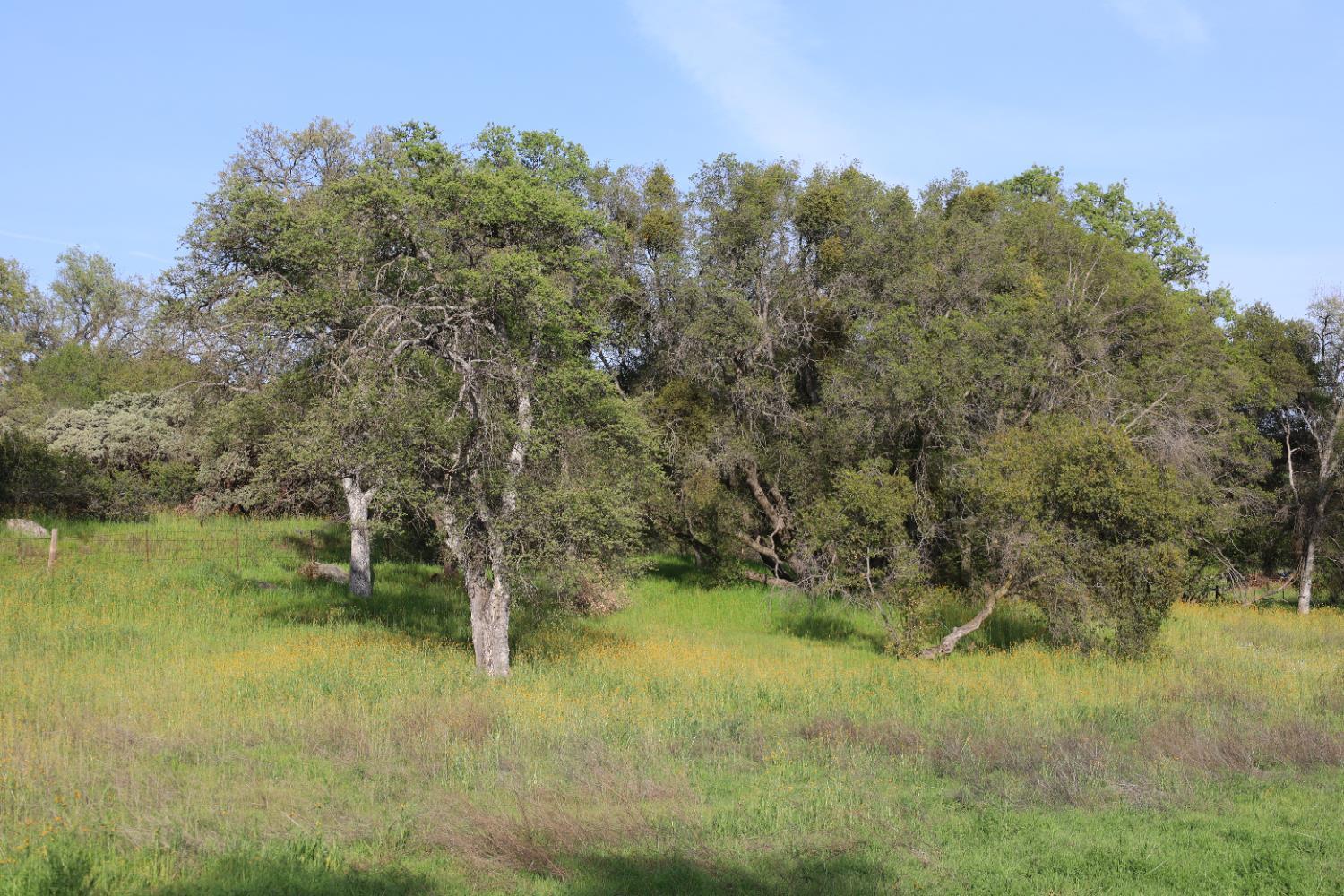 10 Douglas Rd, Coarsegold, CA 93614