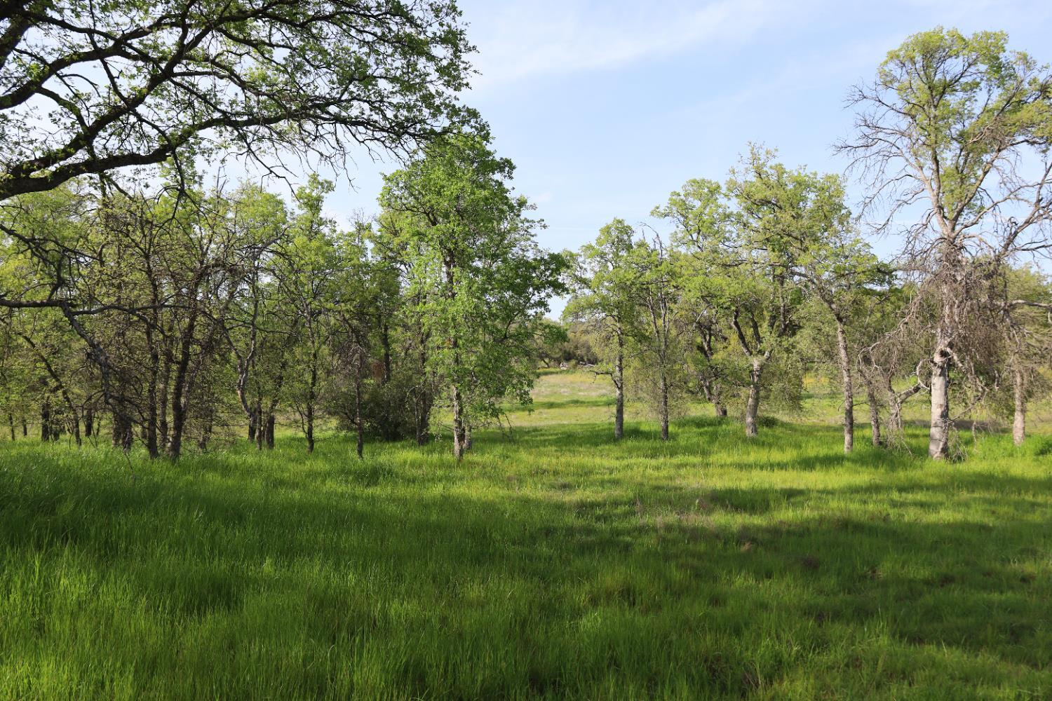 10 Douglas Rd, Coarsegold, CA 93614