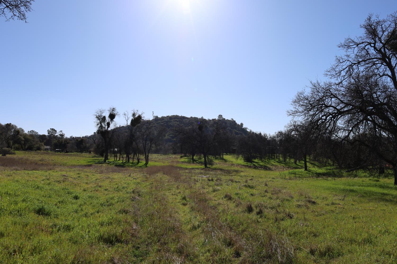 10 Douglas Rd, Coarsegold, CA 93614