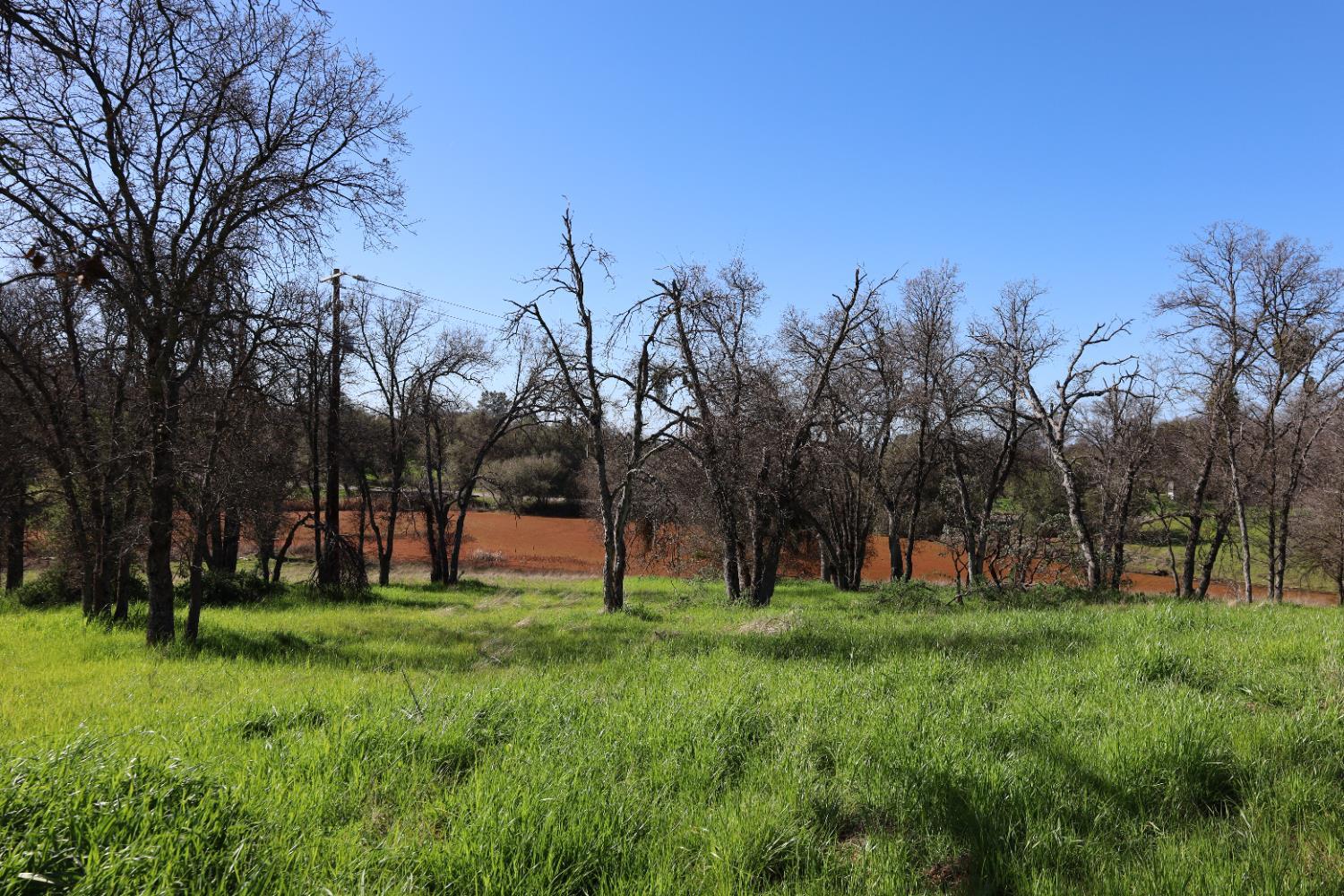 10 Douglas Rd, Coarsegold, CA 93614