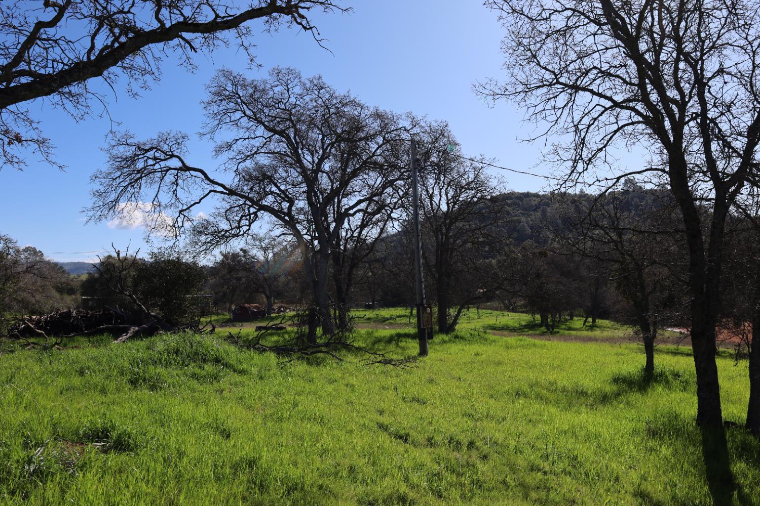 10 Douglas Rd, Coarsegold, CA 93614