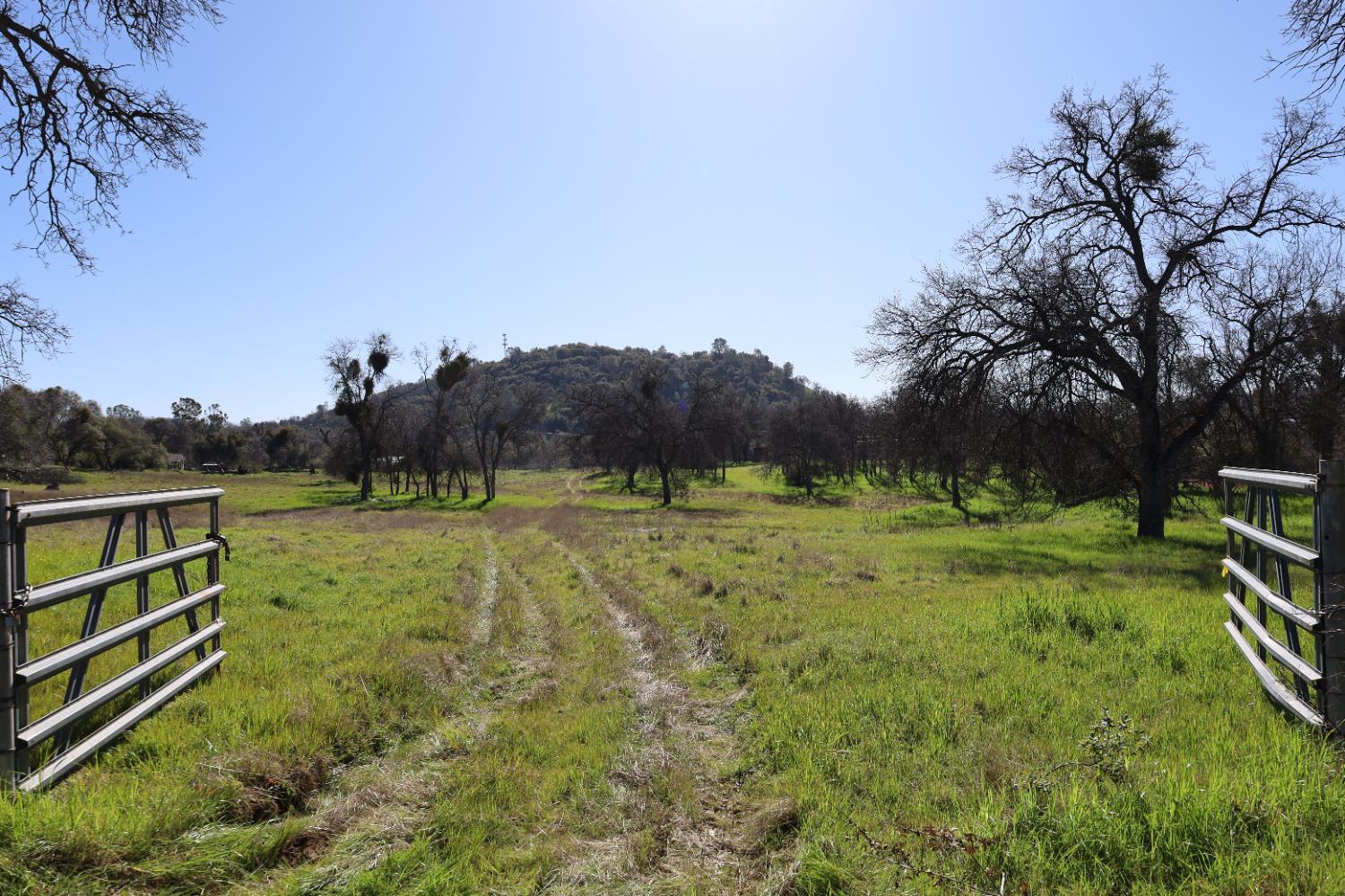 10 Douglas Rd, Coarsegold, CA 93614
