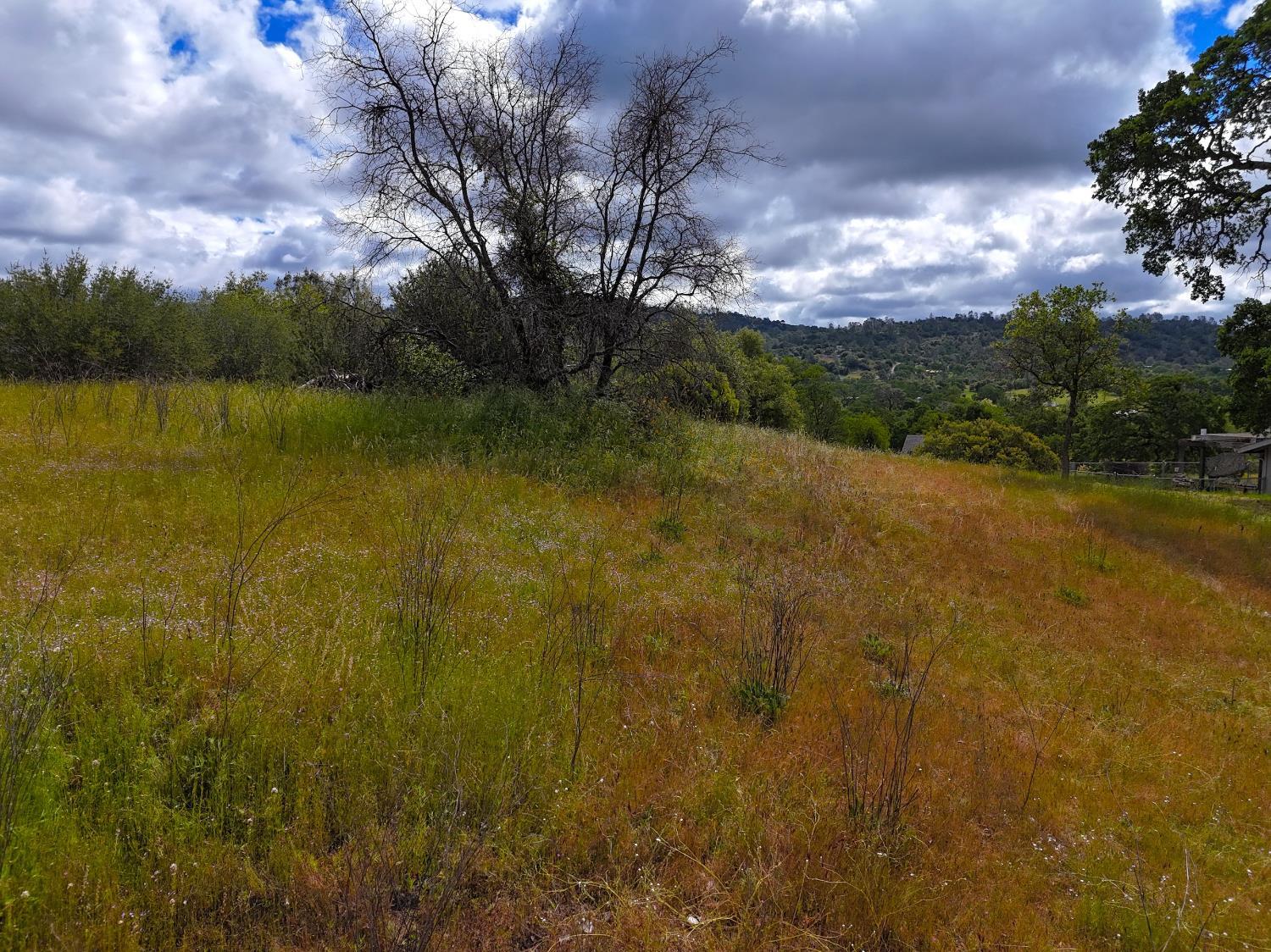 2098 Lot # North Dome Dr, Coarsegold, CA 93614