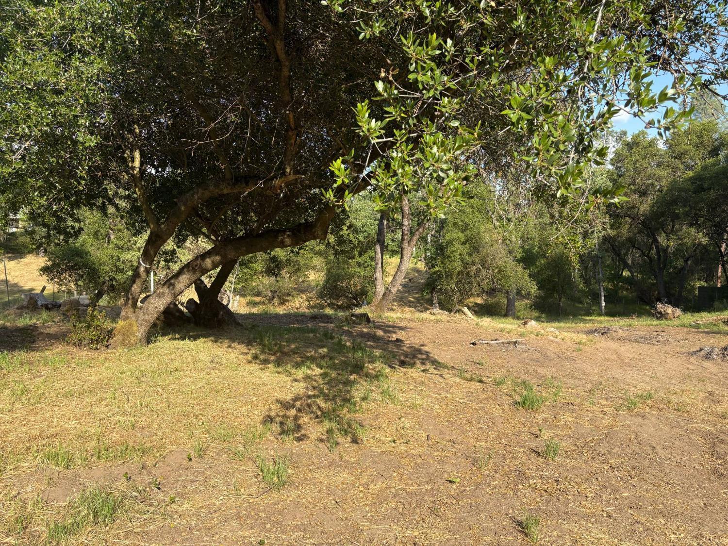507 LOT Chickasaw Rd, Coarsegold, CA 93614