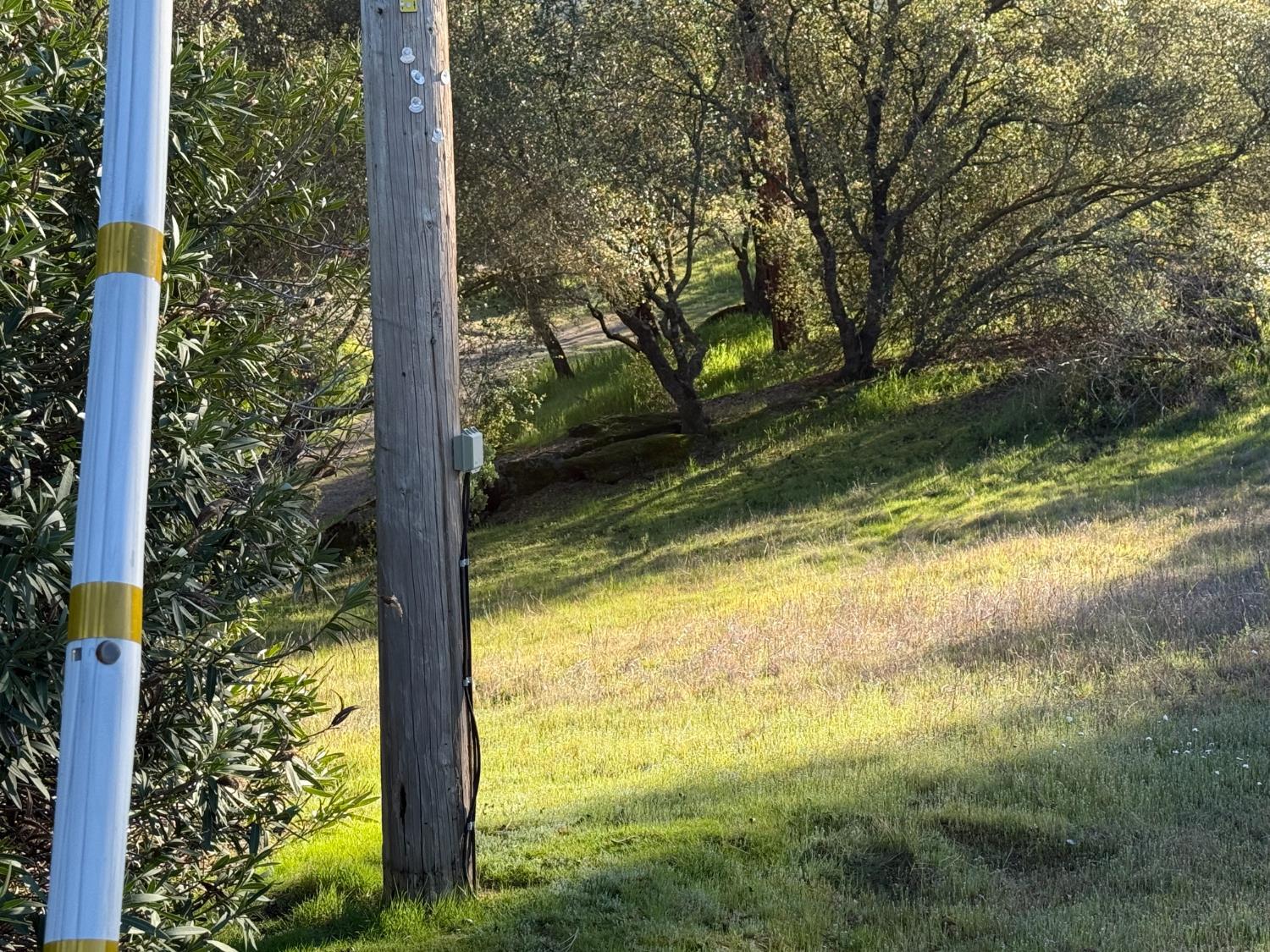 1631 Long Hollow Dr, Coarsegold, CA 93614