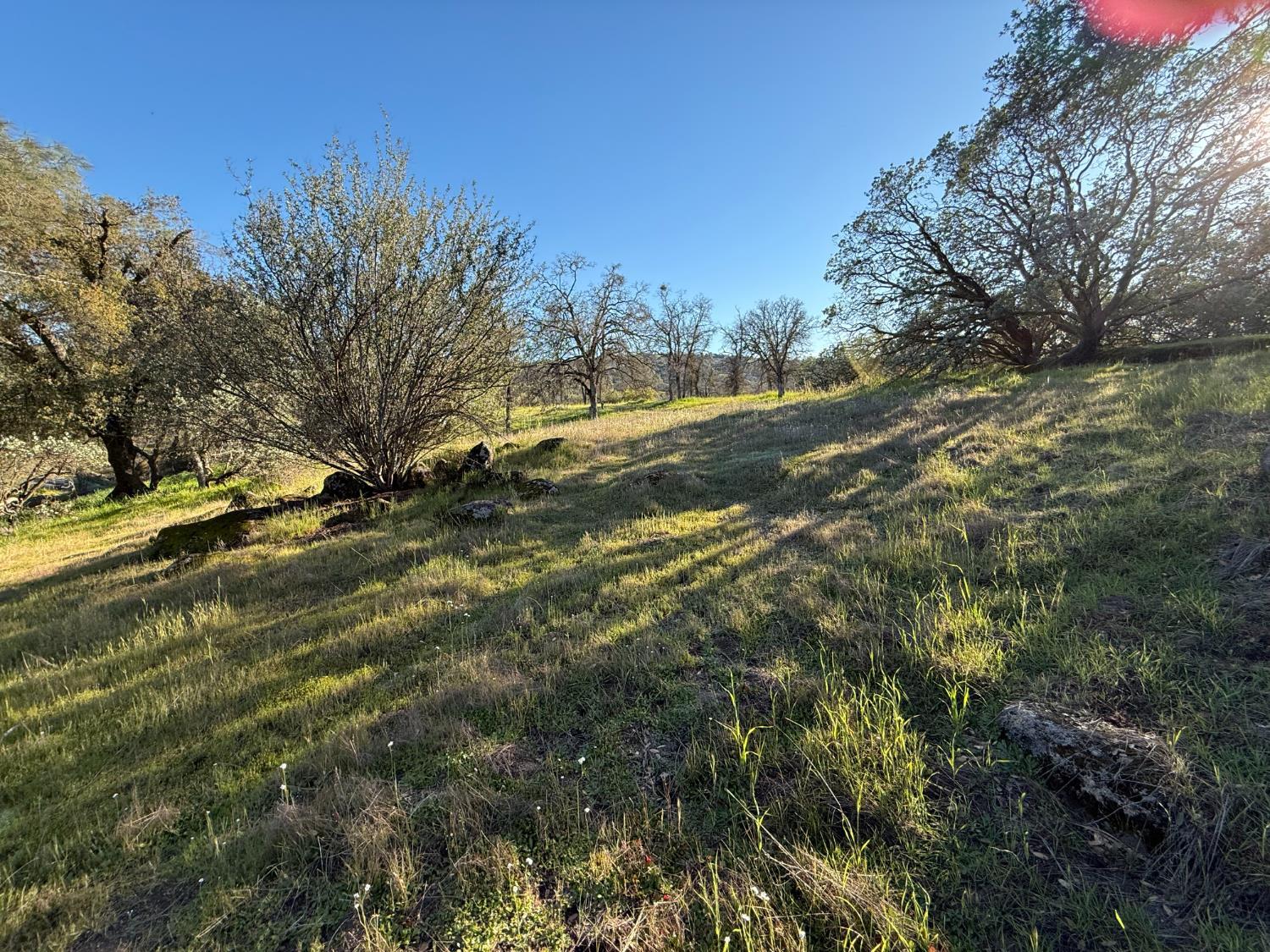 1631 Long Hollow Dr, Coarsegold, CA 93614