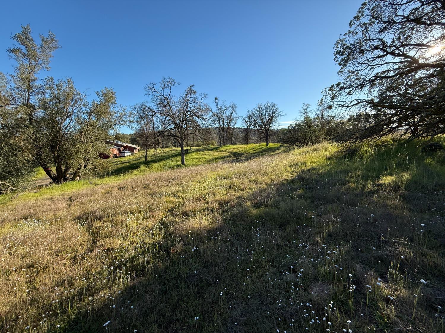 1631 Long Hollow Dr, Coarsegold, CA 93614