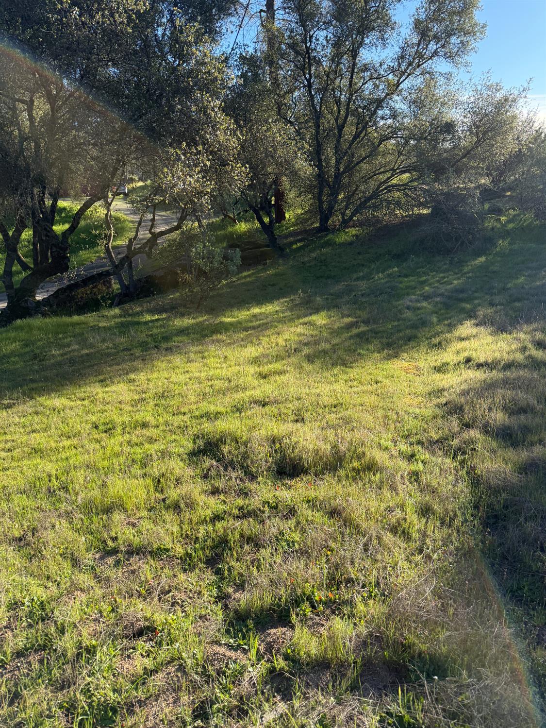 1631 Long Hollow Dr, Coarsegold, CA 93614