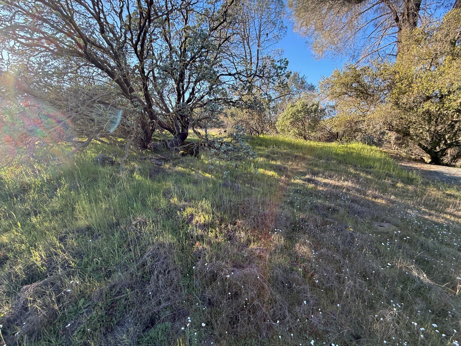 1631 Long Hollow Dr, Coarsegold, CA 93614