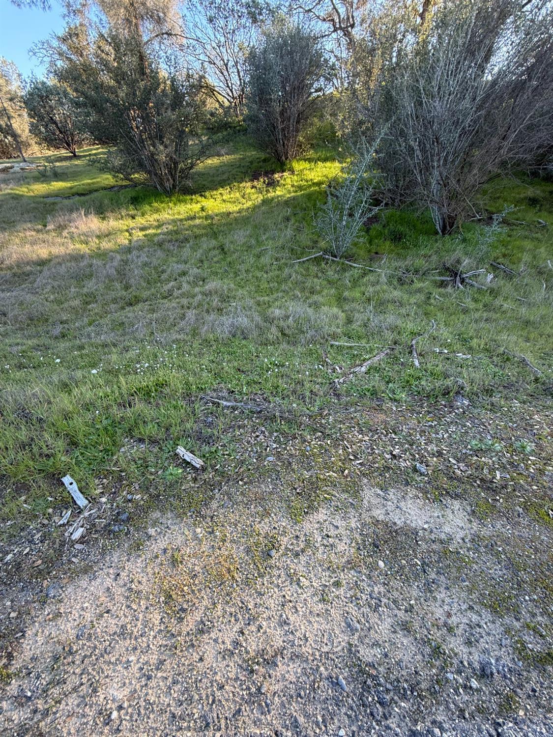 1631 Long Hollow Dr, Coarsegold, CA 93614