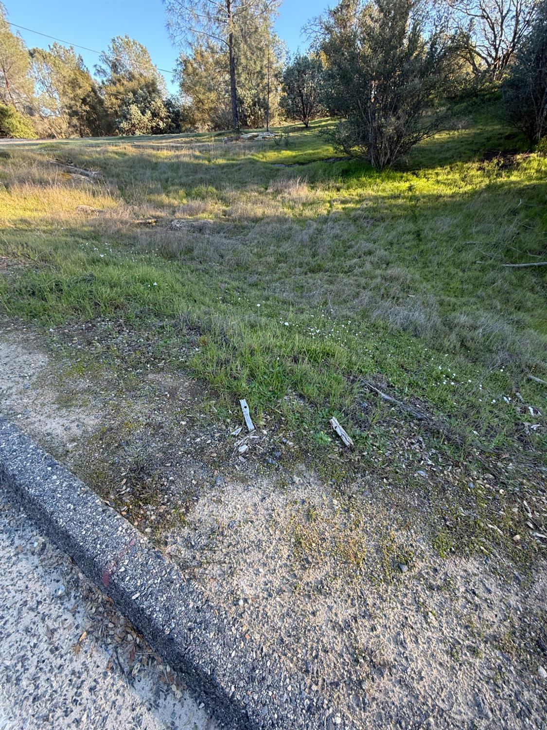 1631 Long Hollow Dr, Coarsegold, CA 93614