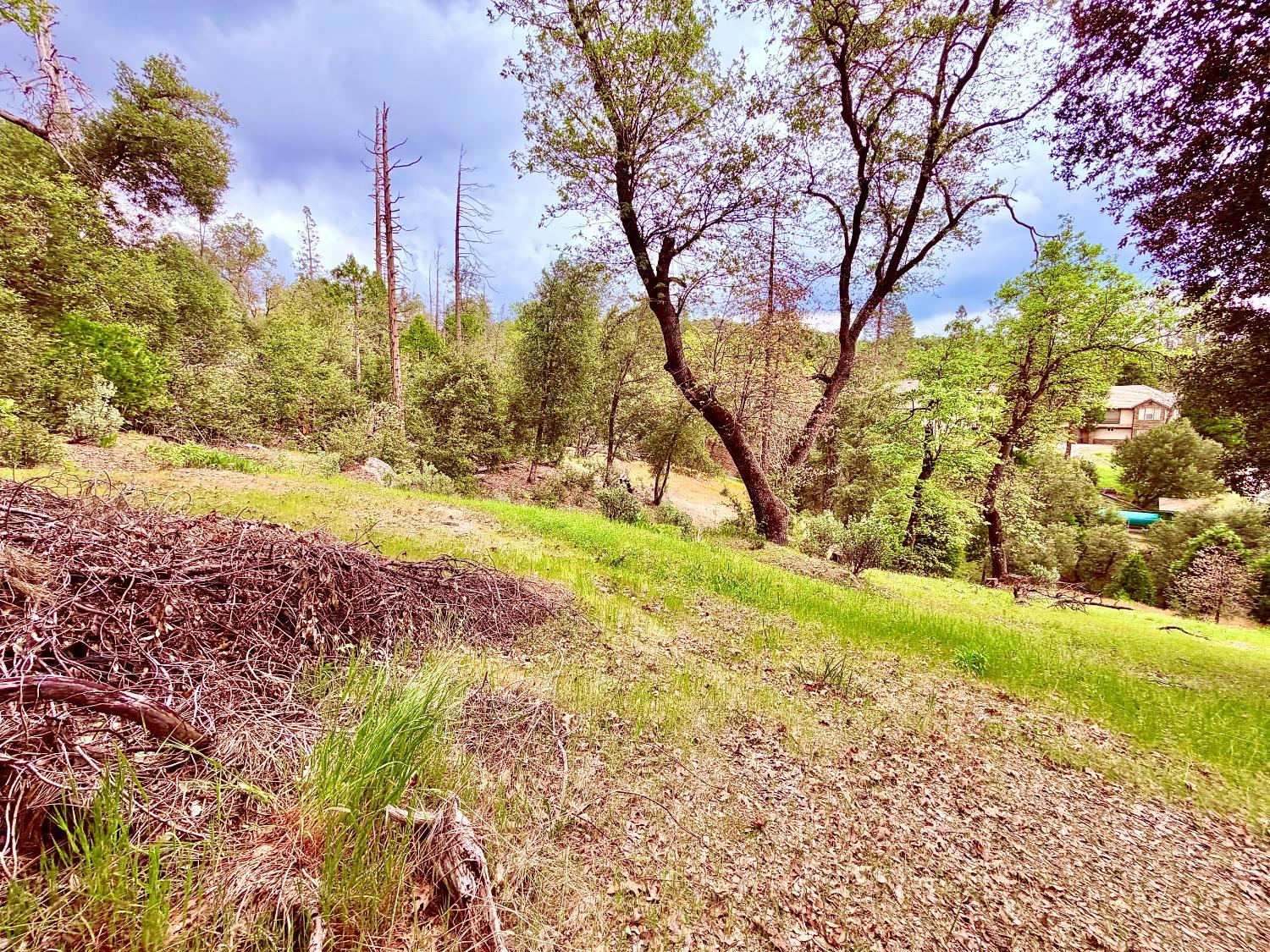 10 Granite Ridge Lane, Bass Lake, CA 93604