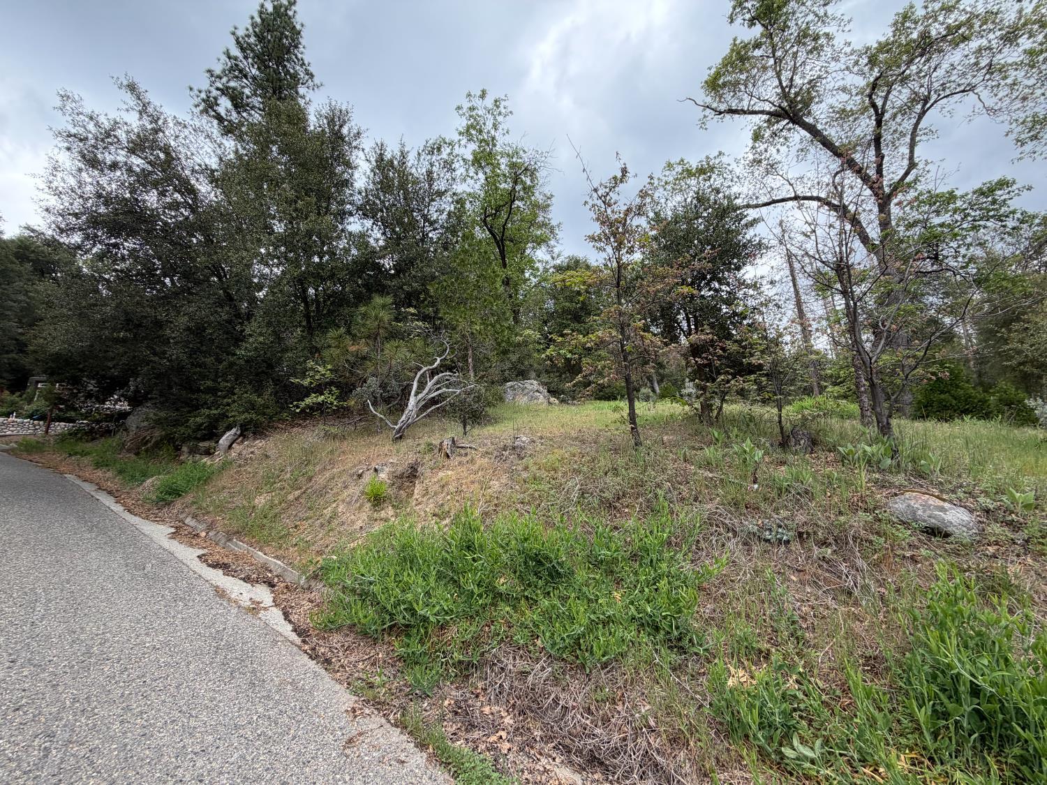 10 Granite Ridge Lane, Bass Lake, CA 93604