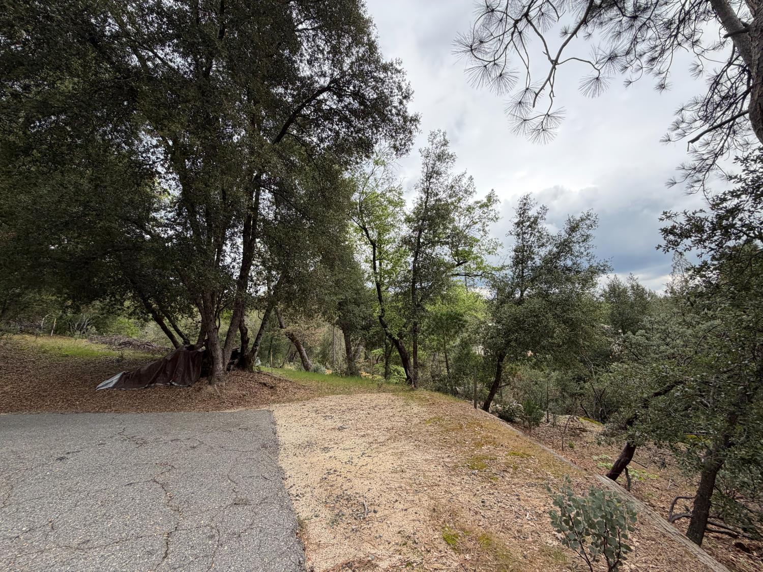 10 Granite Ridge Lane, Bass Lake, CA 93604