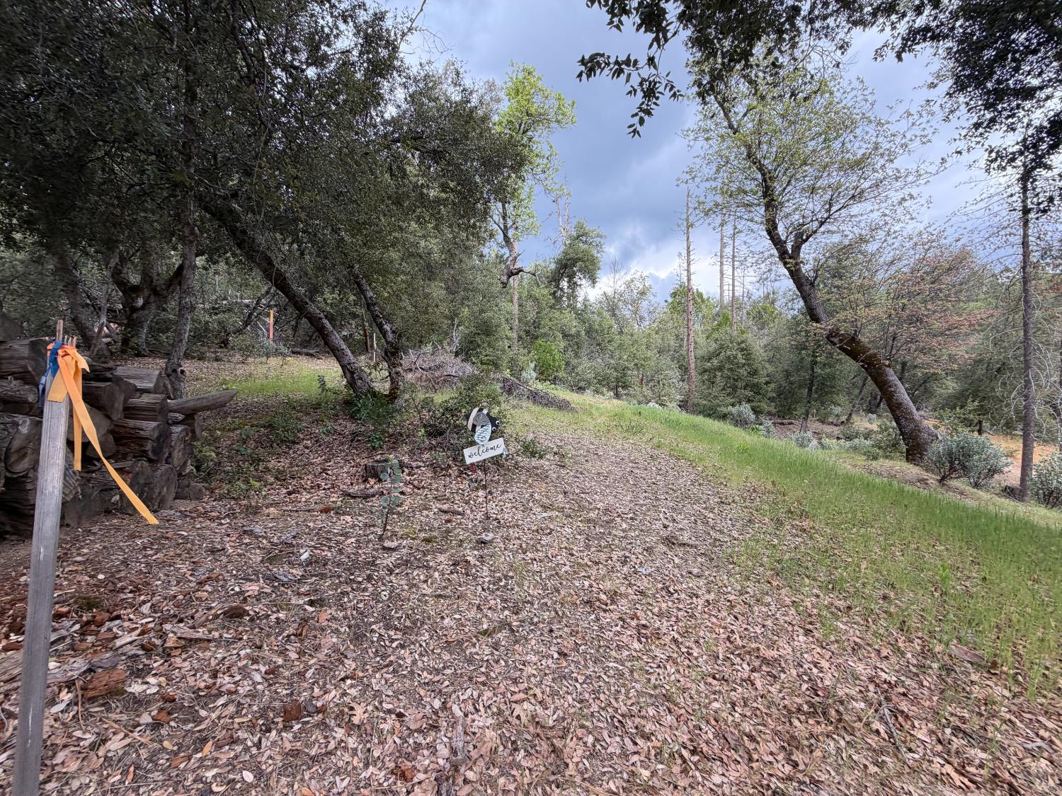 10 Granite Ridge Lane, Bass Lake, CA 93604
