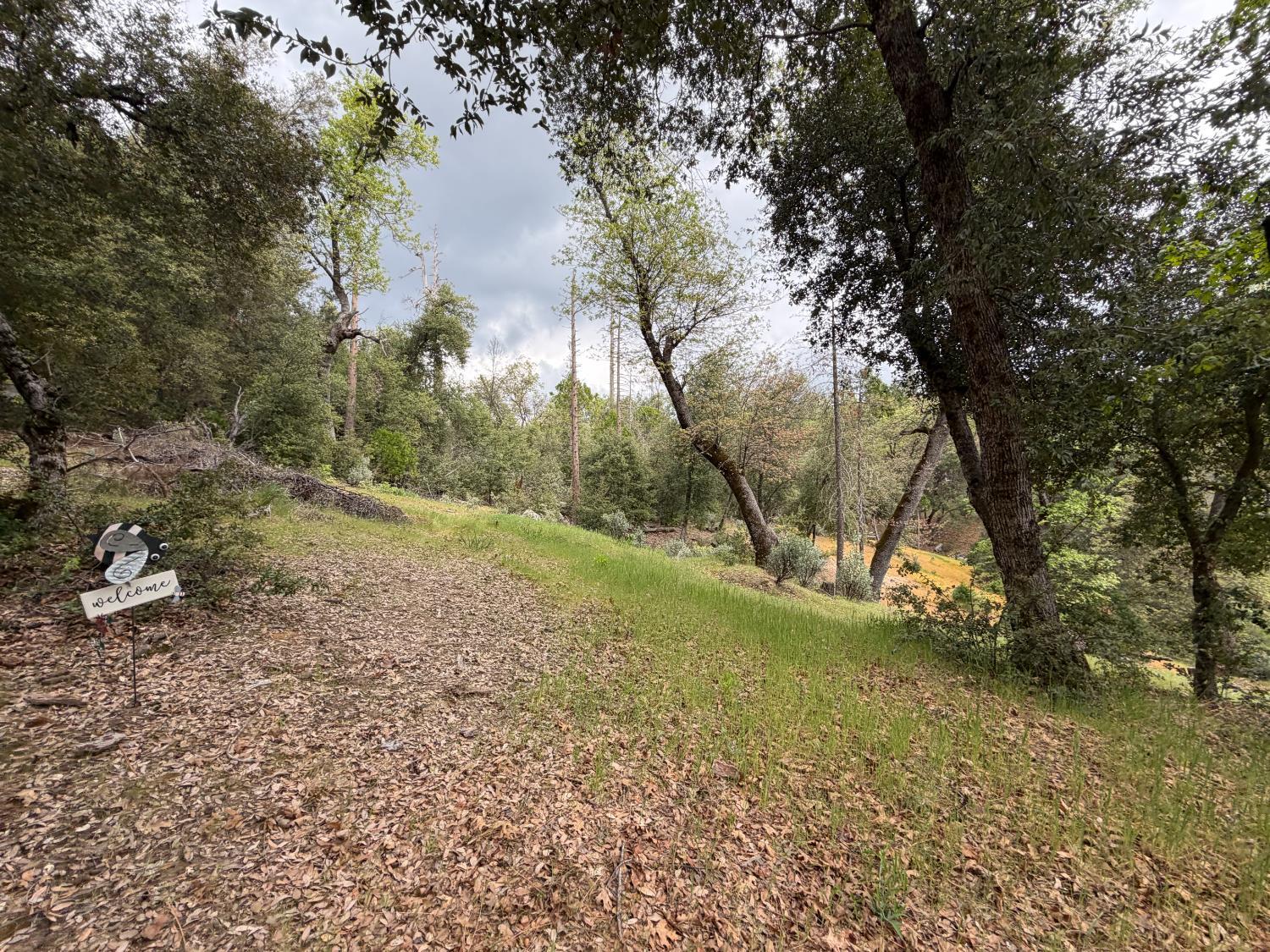 10 Granite Ridge Lane, Bass Lake, CA 93604