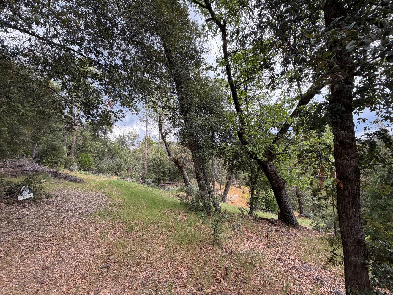 10 Granite Ridge Lane, Bass Lake, CA 93604