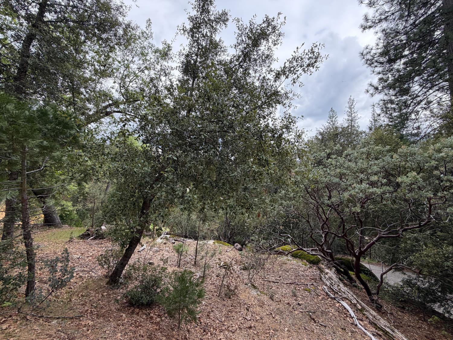 10 Granite Ridge Lane, Bass Lake, CA 93604