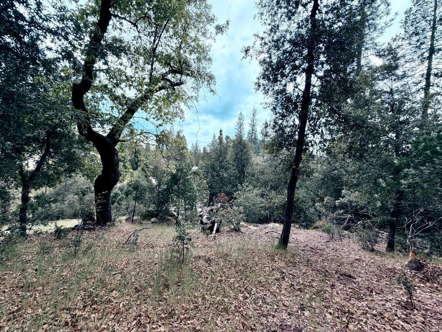 10 Granite Ridge Lane, Bass Lake, CA 93604