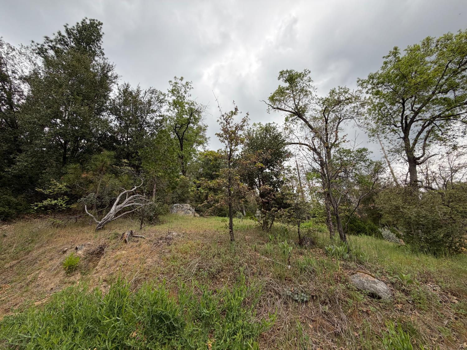 10 Granite Ridge Lane, Bass Lake, CA 93604