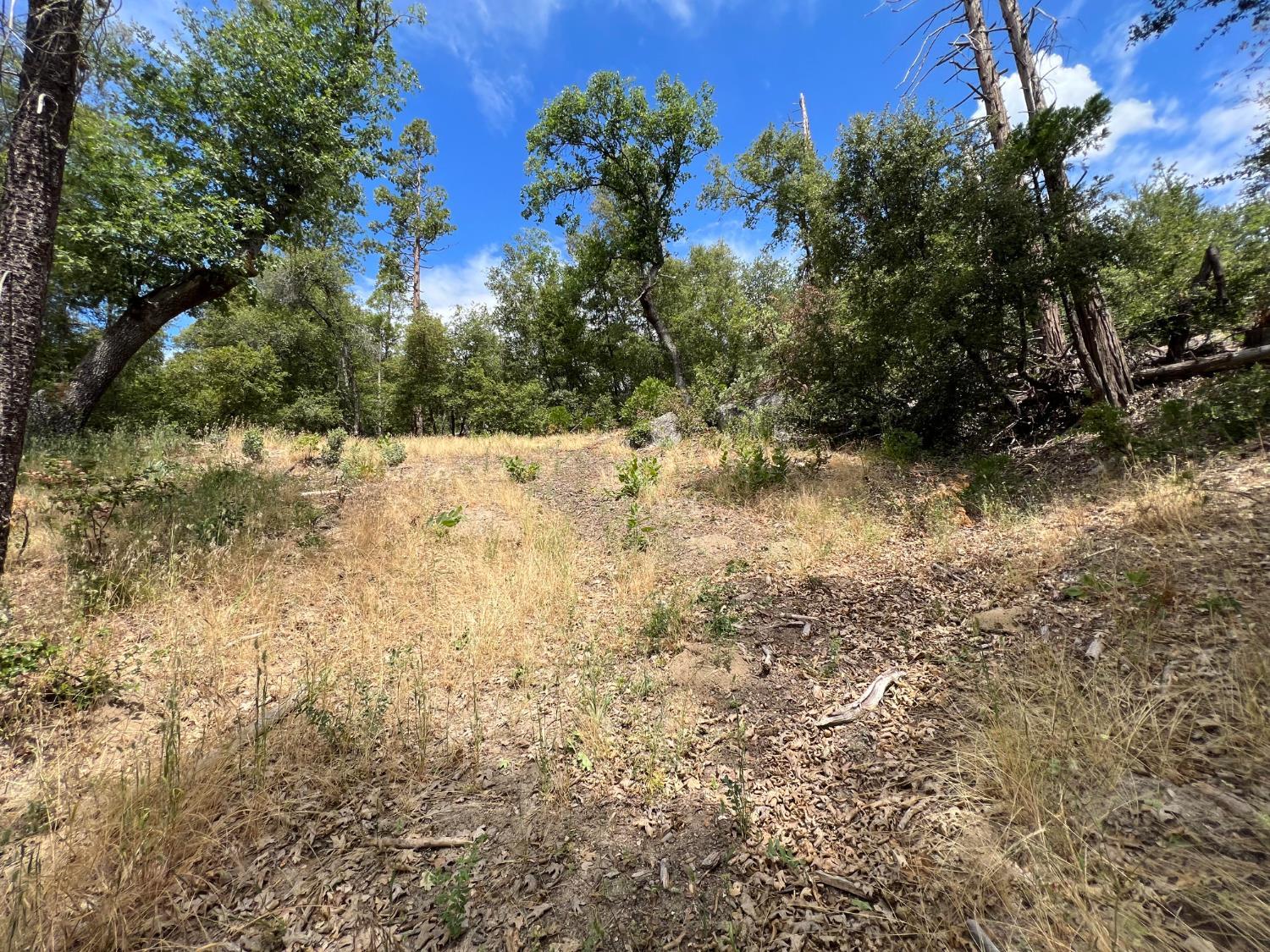 10 Granite Ridge Lane, Bass Lake, CA 93604