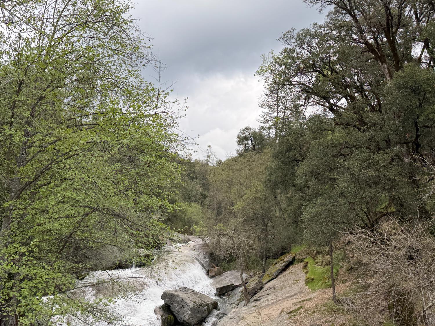 10 Granite Ridge Lane, Bass Lake, CA 93604