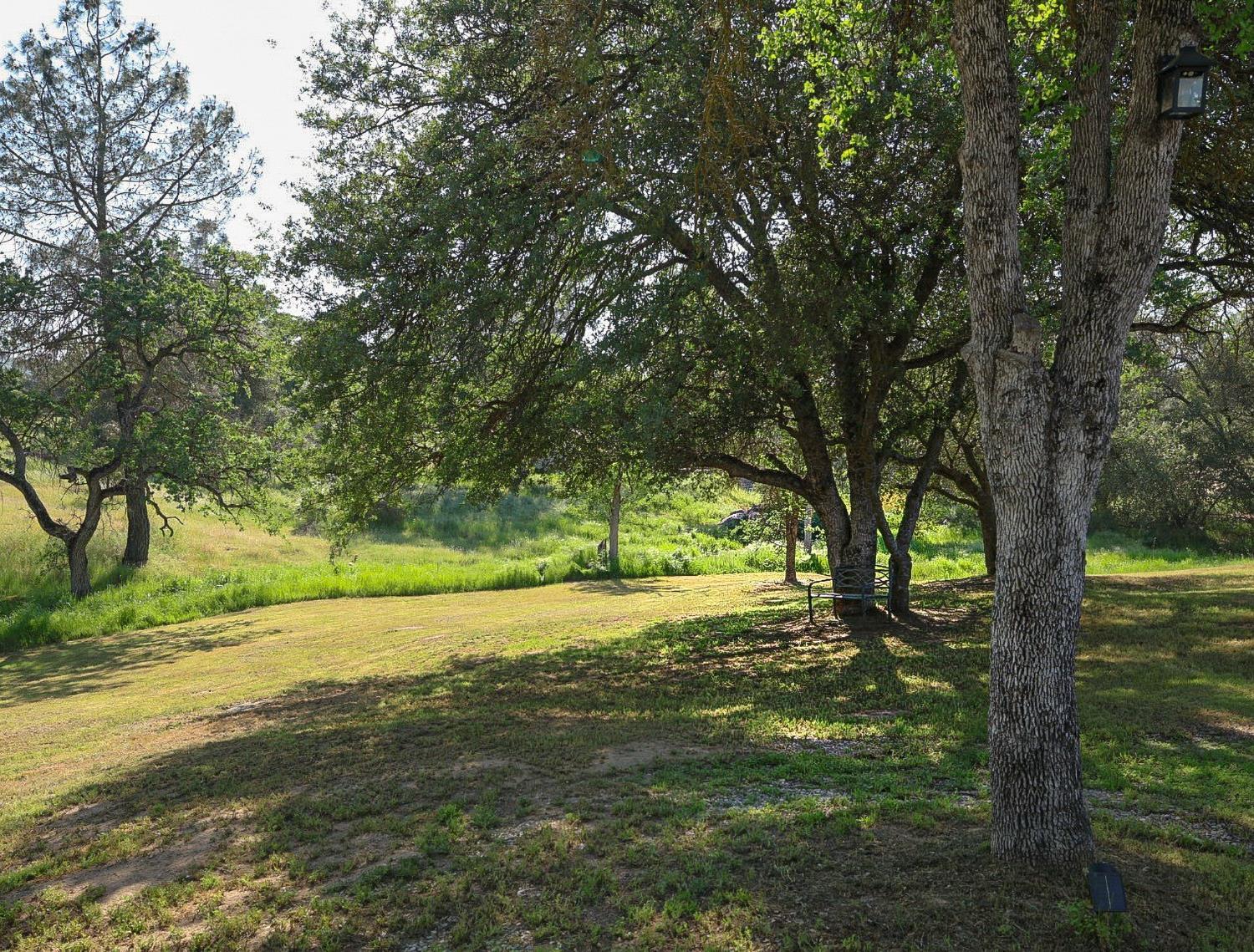 41121 Long Hollow Dr, Coarsegold, CA 93614