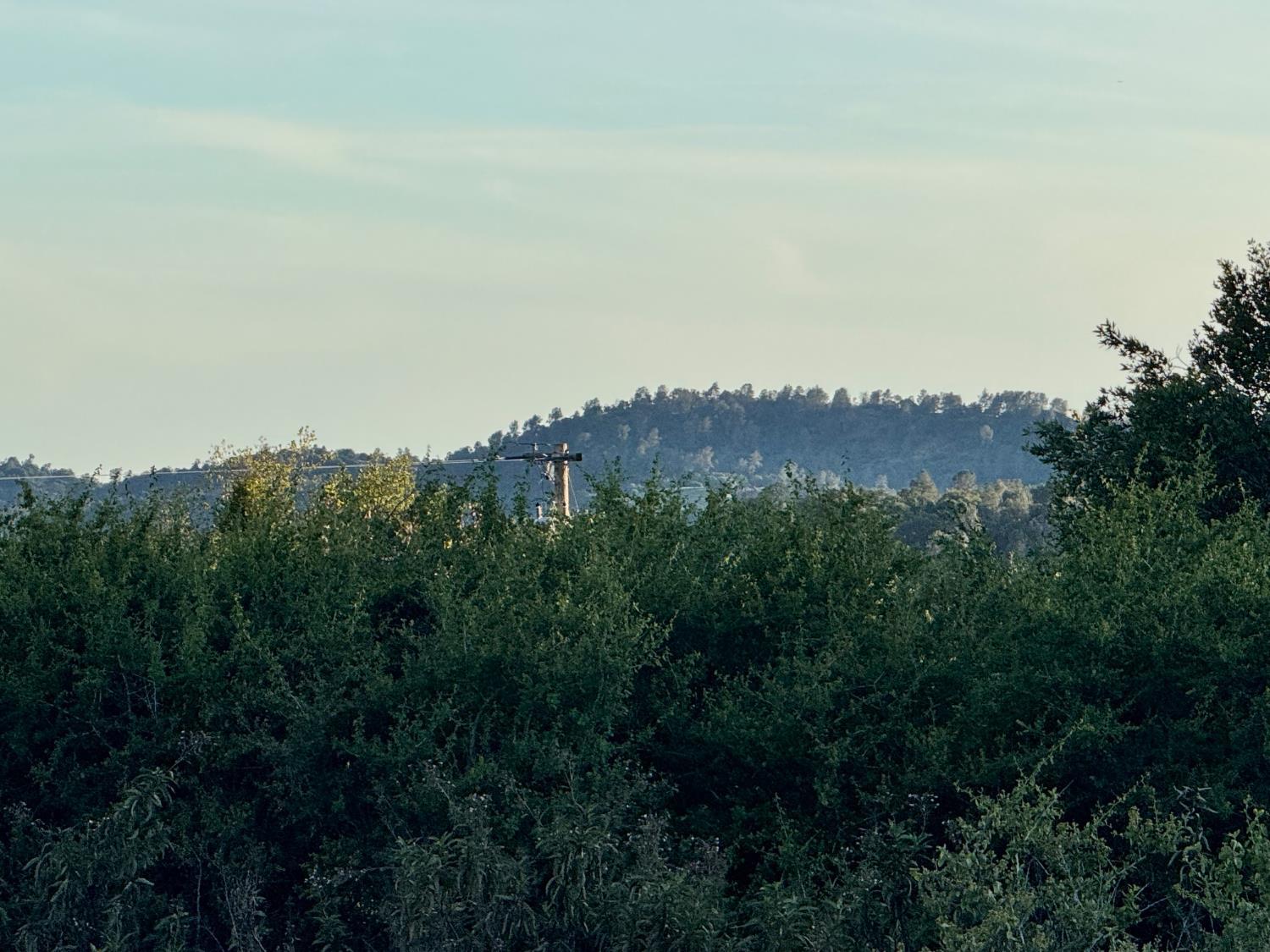 10 Old Oak Ln, Mariposa, CA 95338