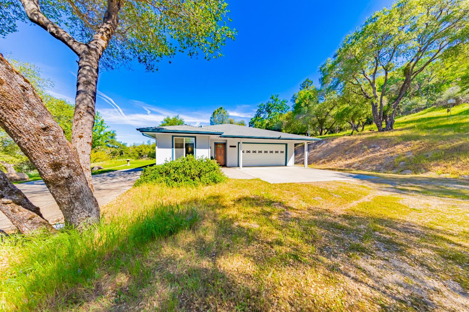 50359 Dovewood Ln, Oakhurst, CA 93644