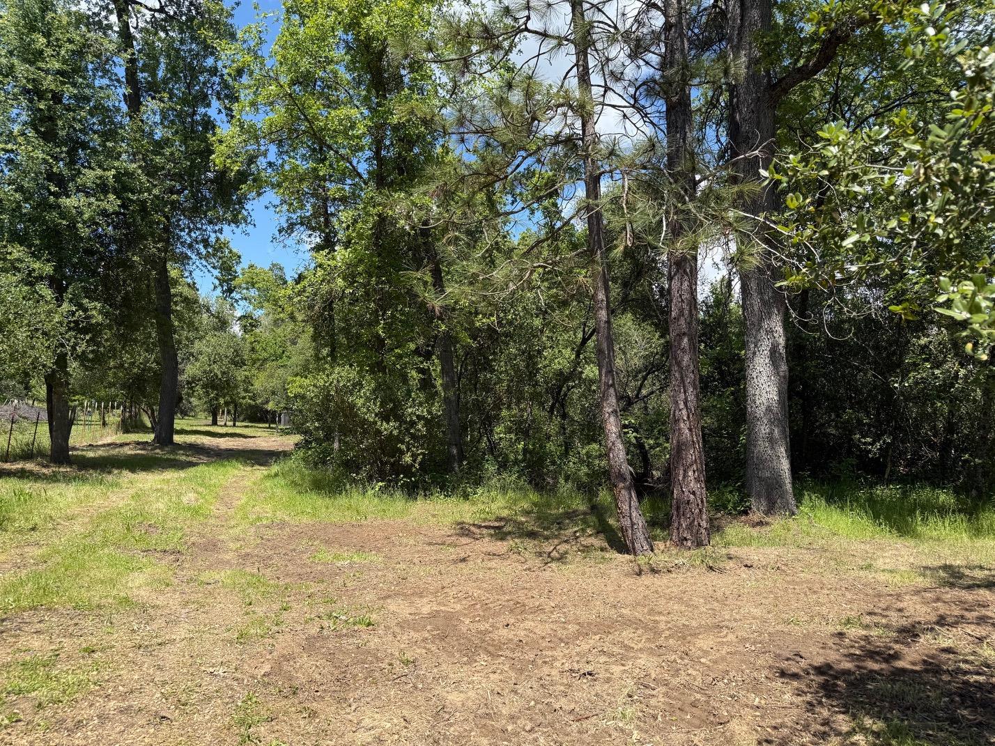 2 Road 601, Ahwahnee, CA 93601