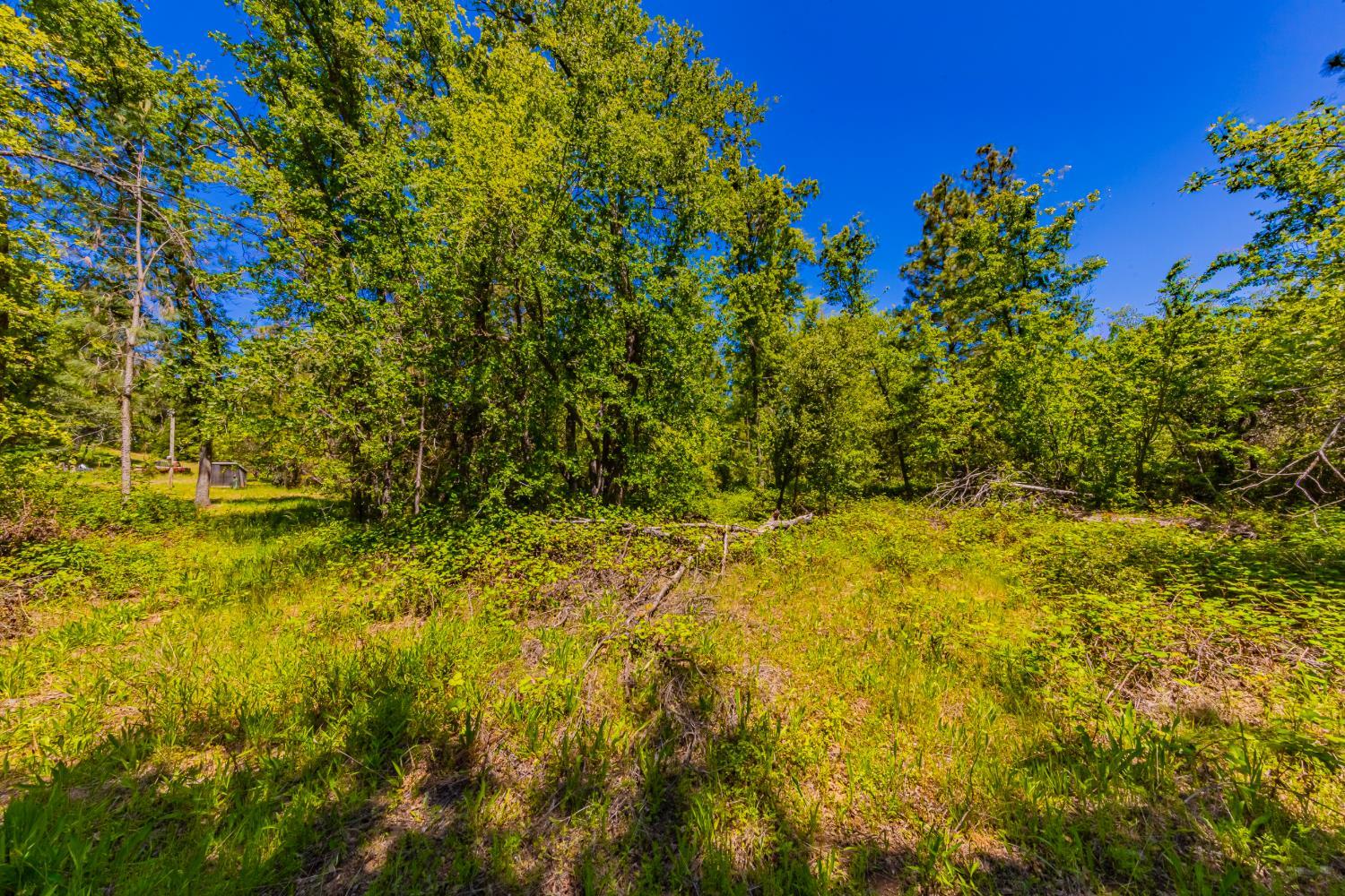 2 Road 601, Ahwahnee, CA 93601