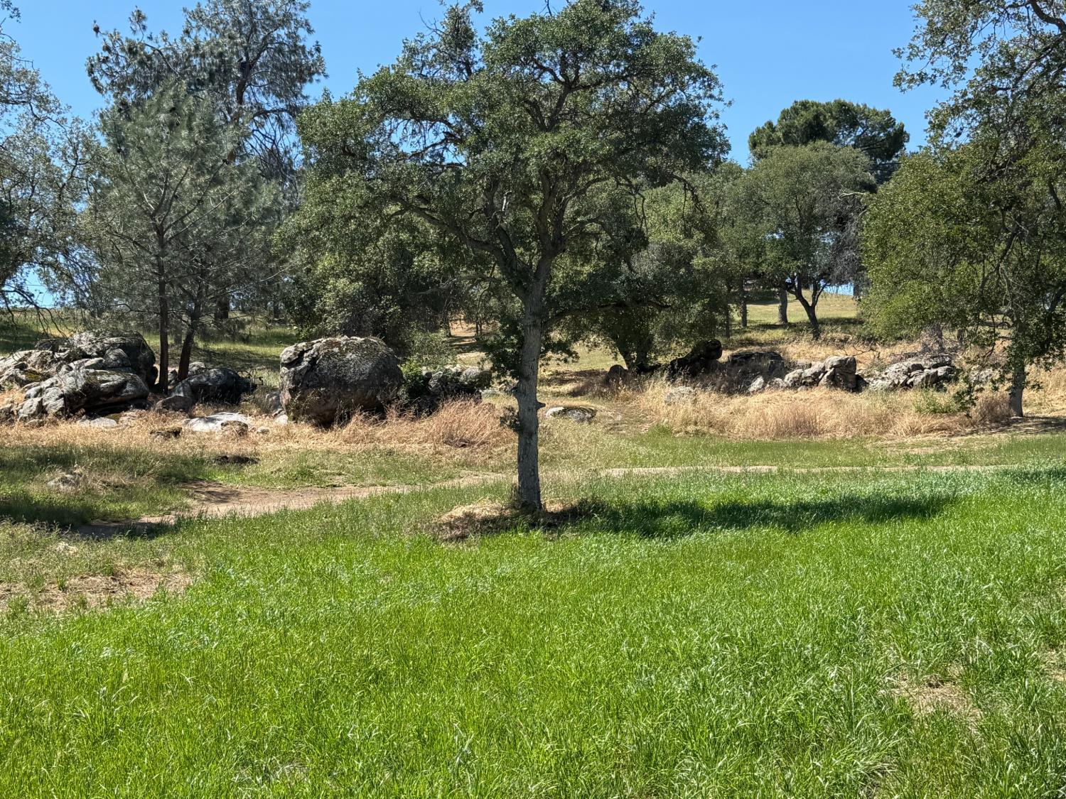 958 Kings Canyon Ct., Coarsegold, CA 93614