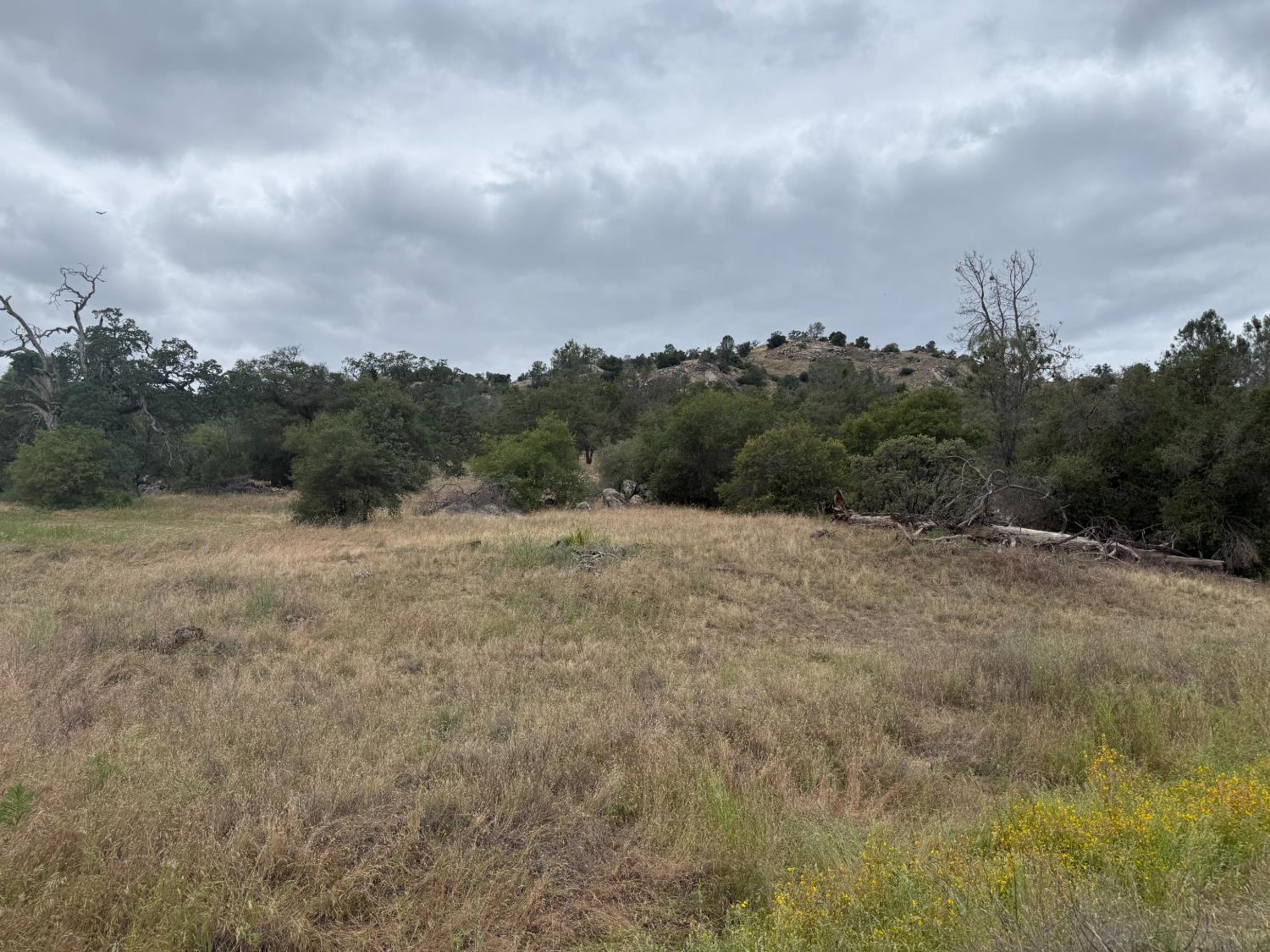 2112 N Dome, Coarsegold, CA 93614