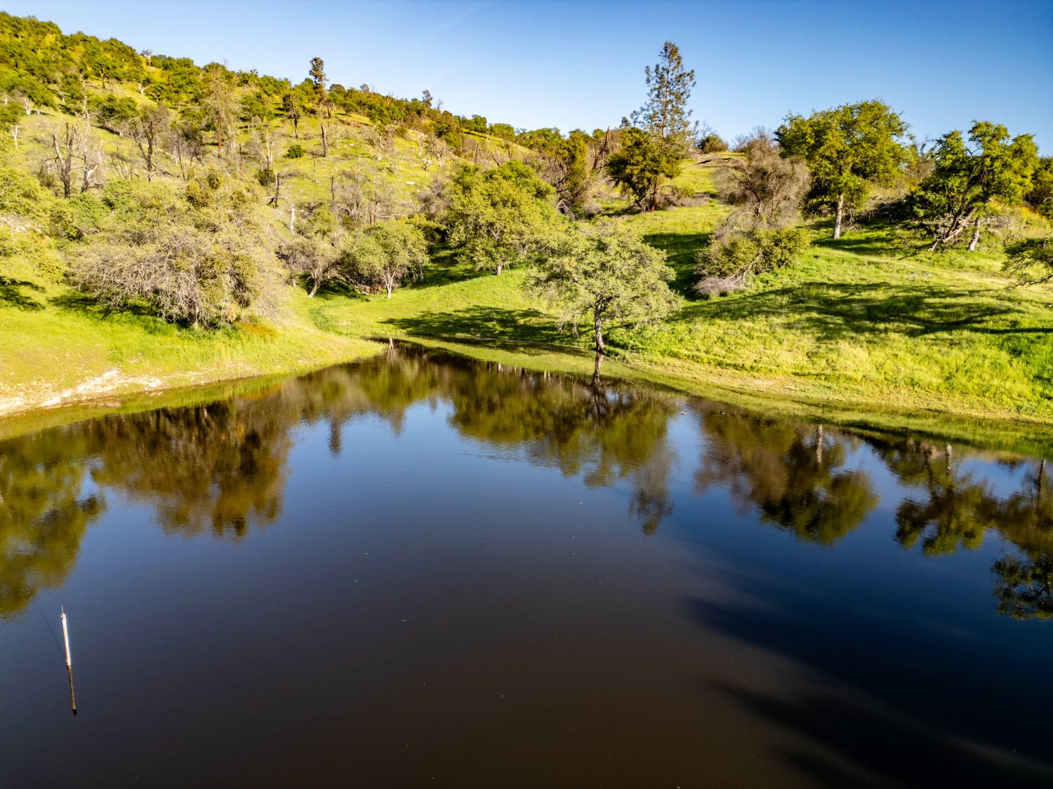39603 Road 810, Raymond, CA 93653