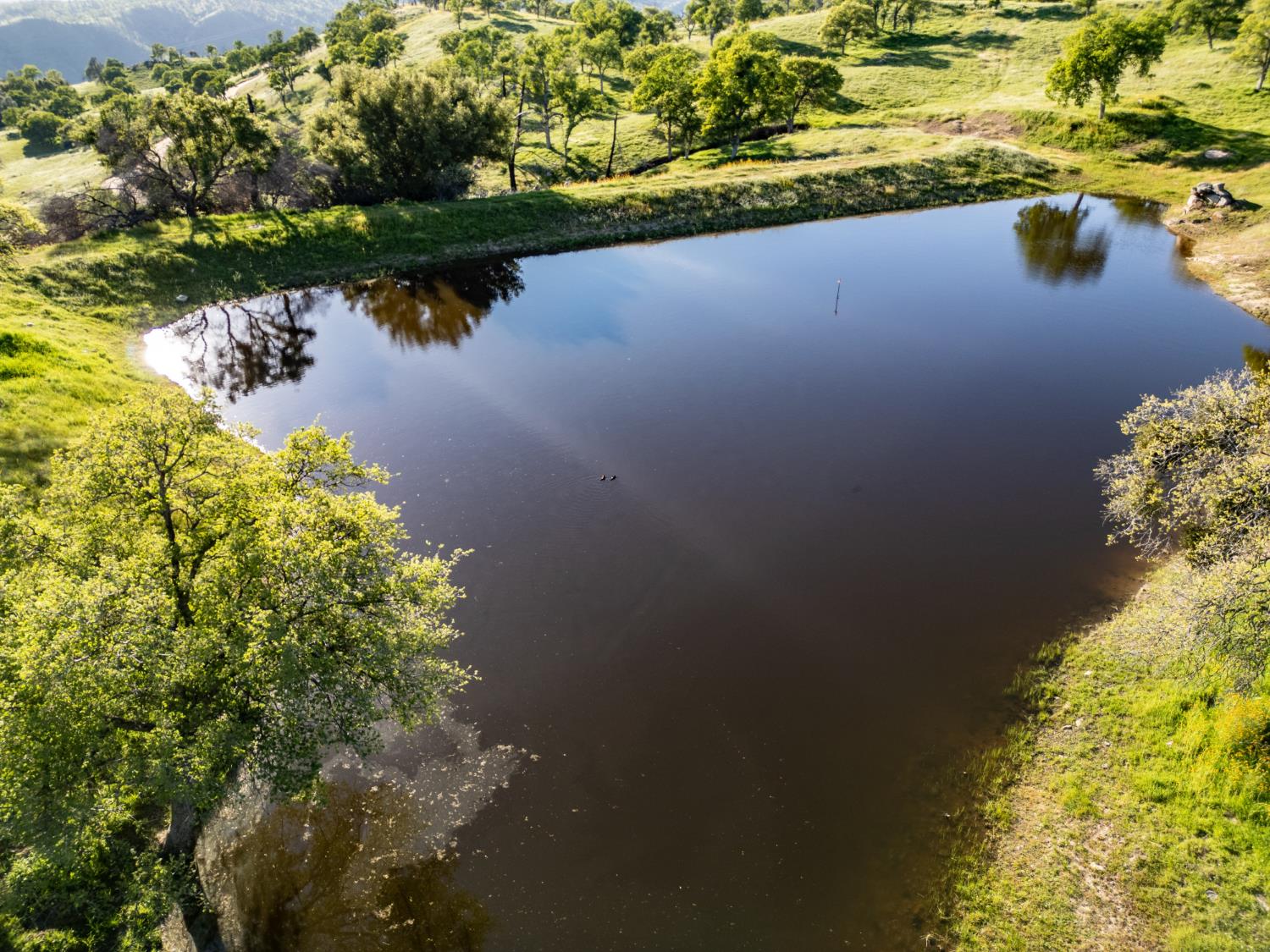 39603 Road 810, Raymond, CA 93653