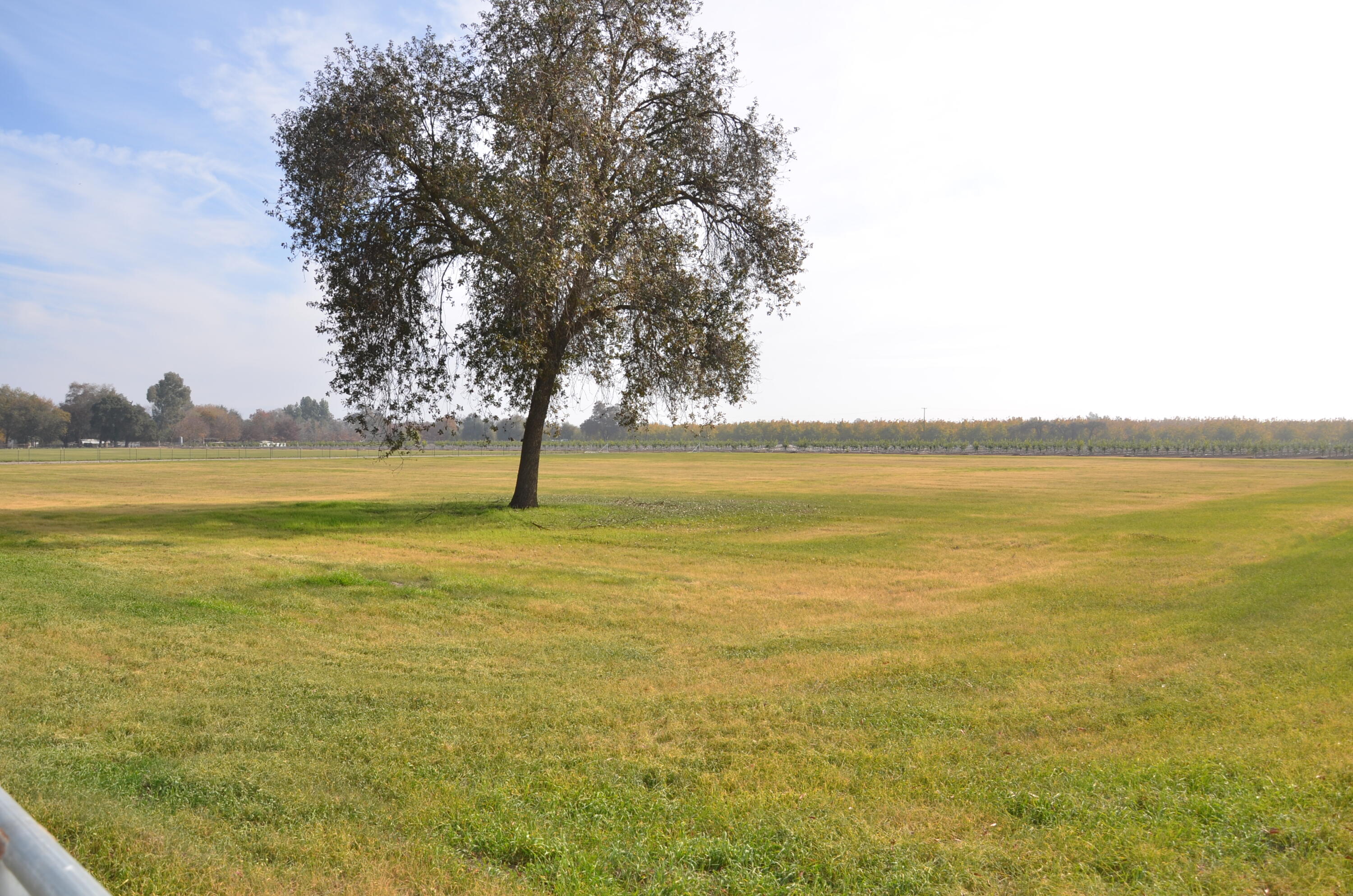 13401 Ave 328 #Lot #1, Visalia, CA 93292