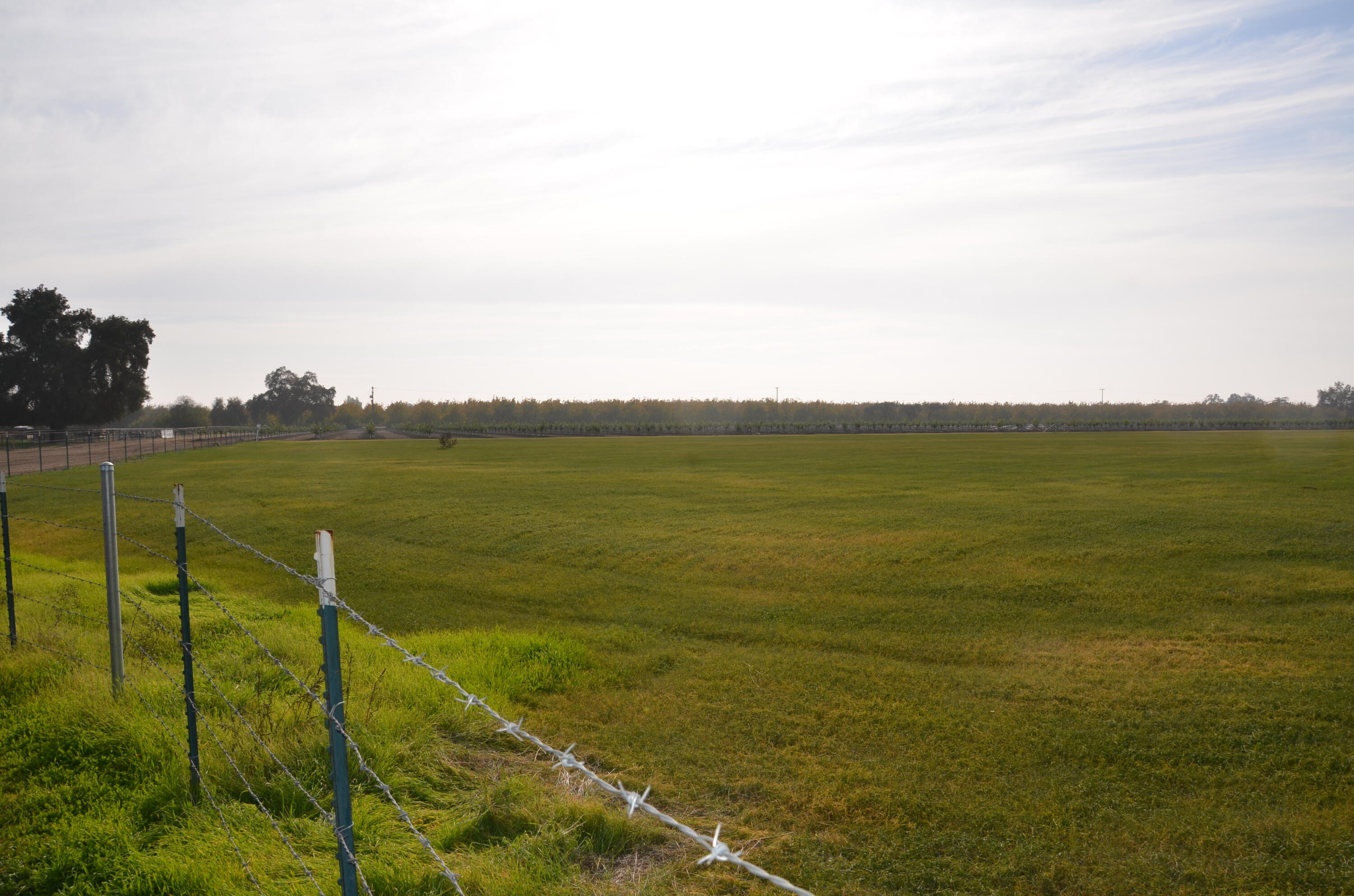 13401 Ave 328 #Lot #3, Visalia, CA 93292