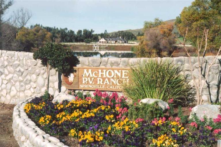 0 Angus Loop Extension Farm&Past Dr, Springville, CA 93265