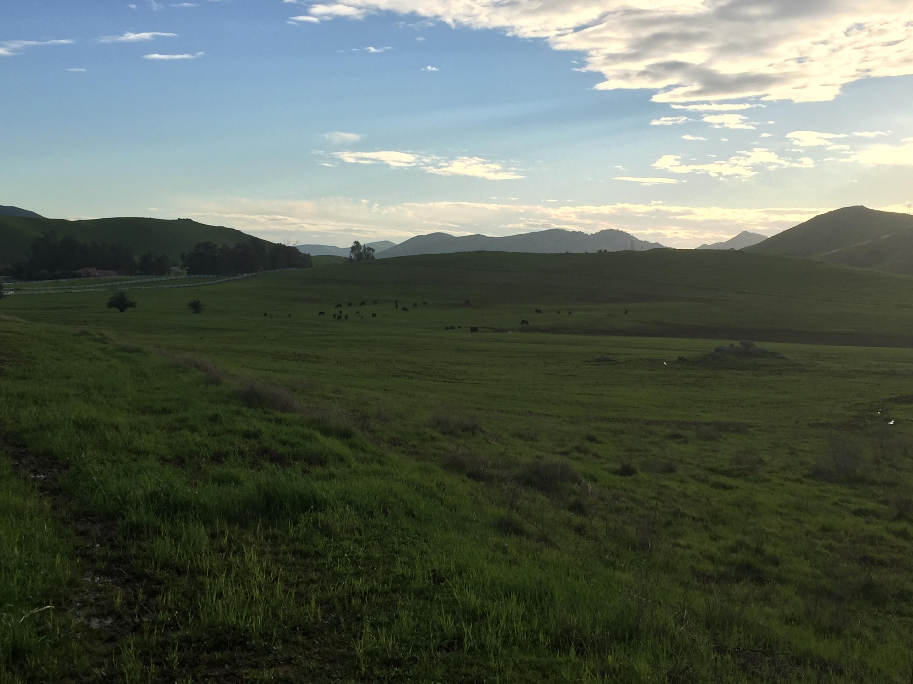 0 Angus Loop Extension Farm&Past Dr, Springville, CA 93265