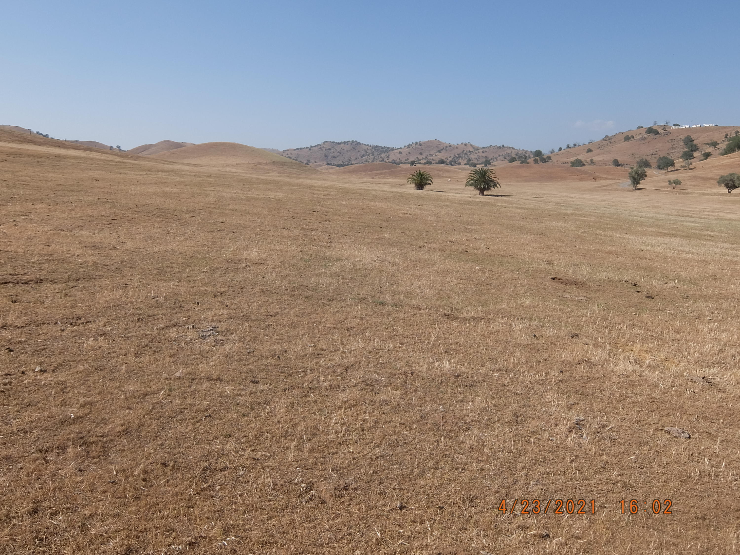 0 Angus Loop Extension Farm&Past Dr, Springville, CA 93265