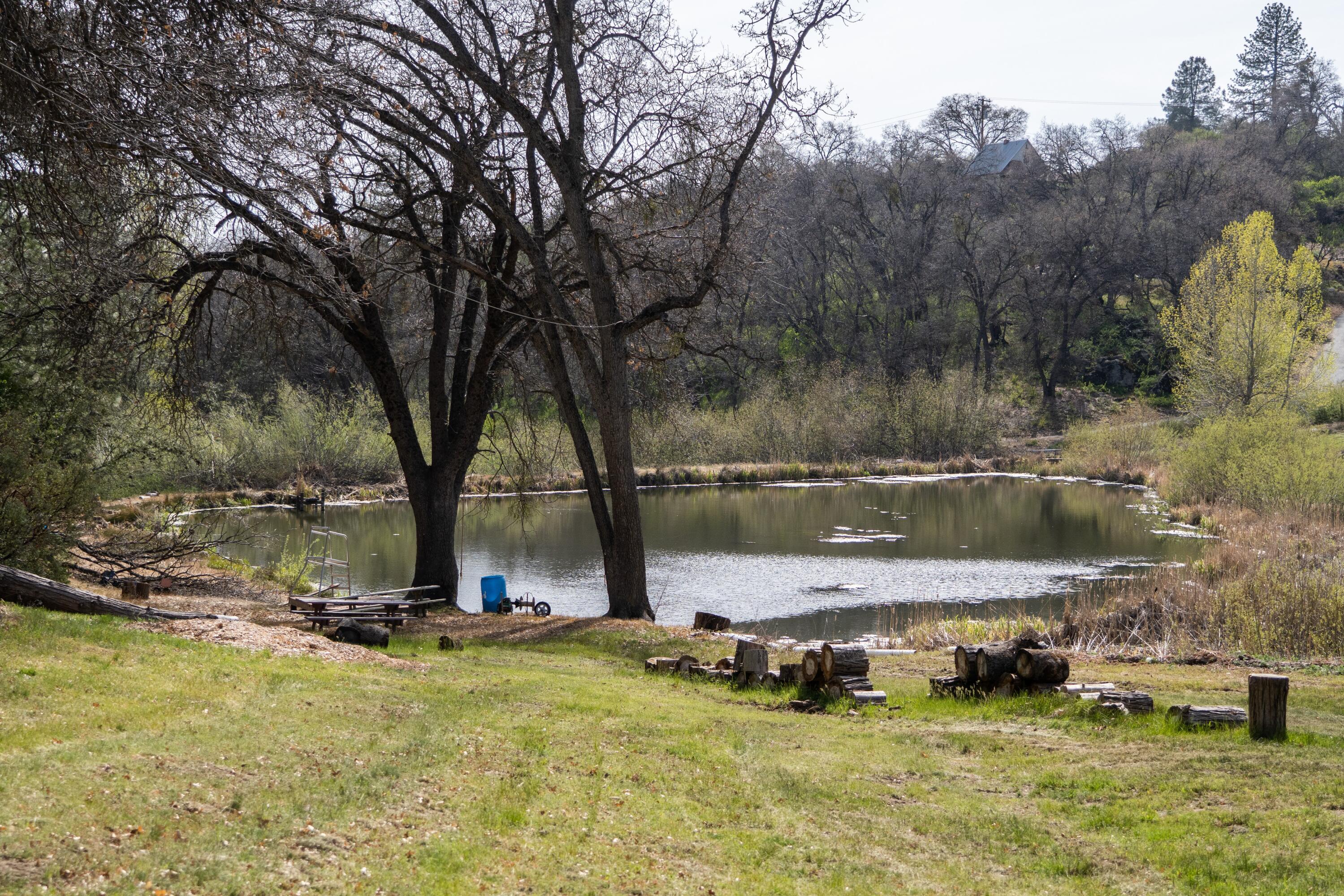 45334 Poso Park Dr, Posey, CA 93260