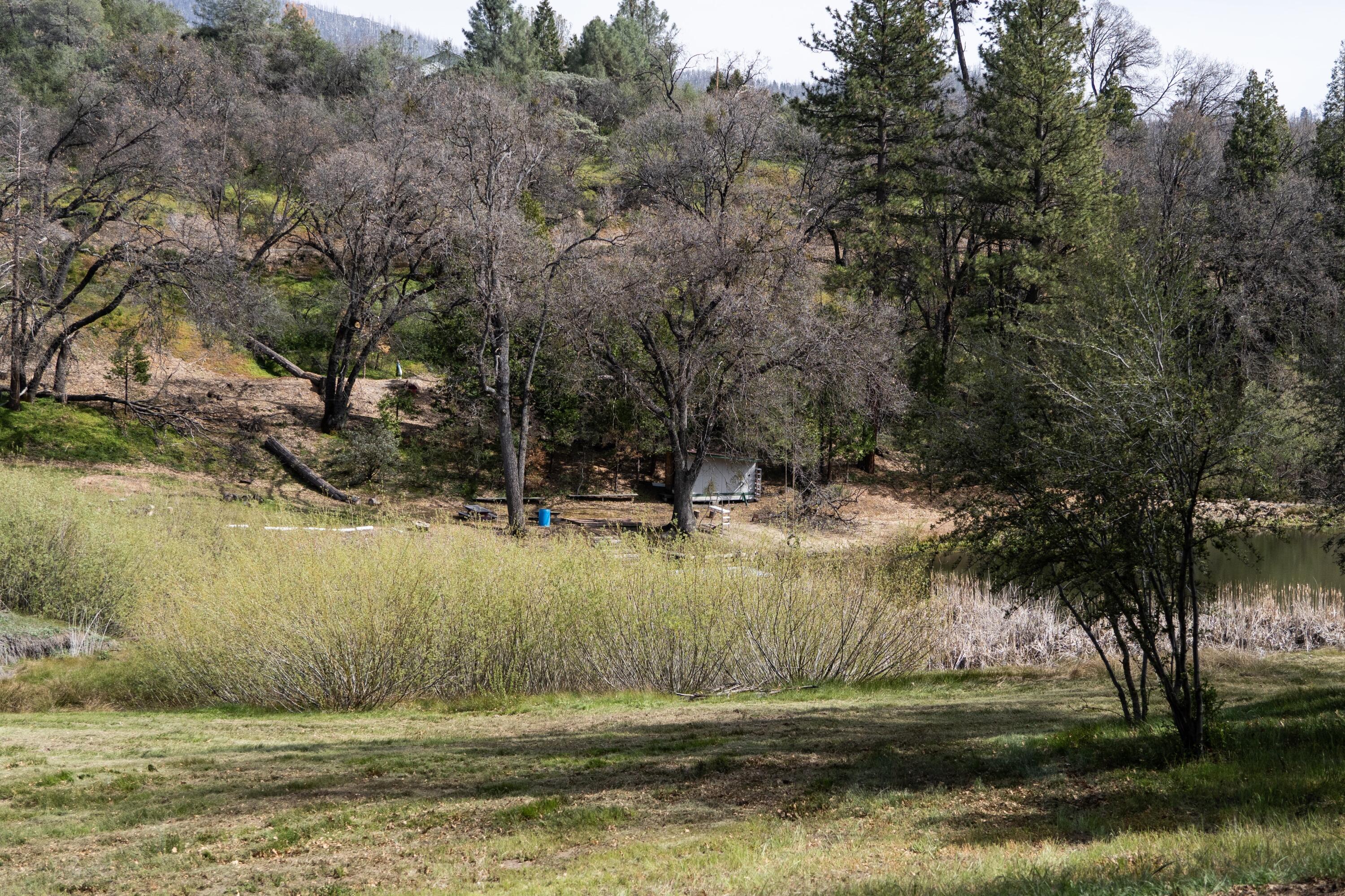 45334 Poso Park Dr, Posey, CA 93260