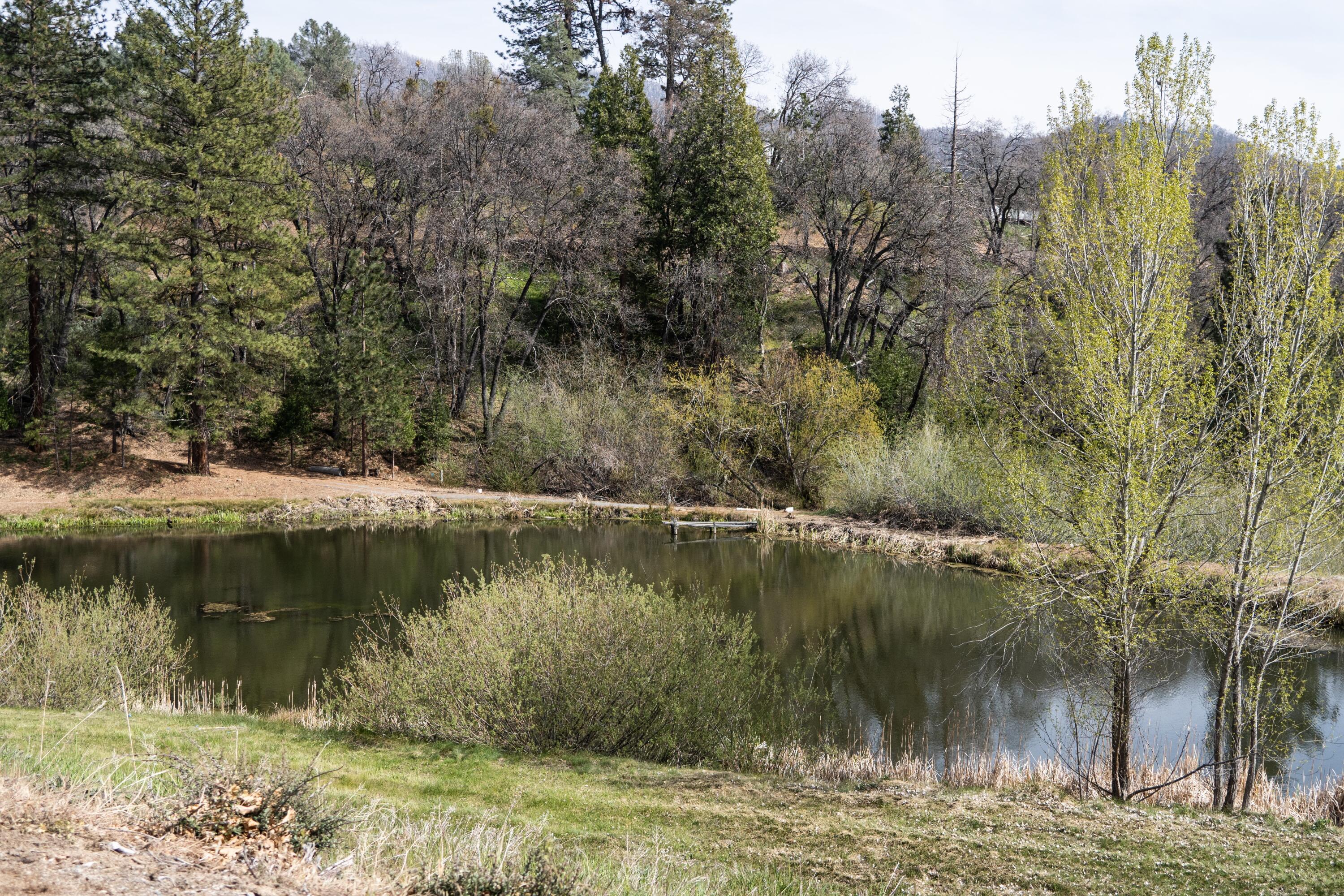 45334 Poso Park Dr, Posey, CA 93260