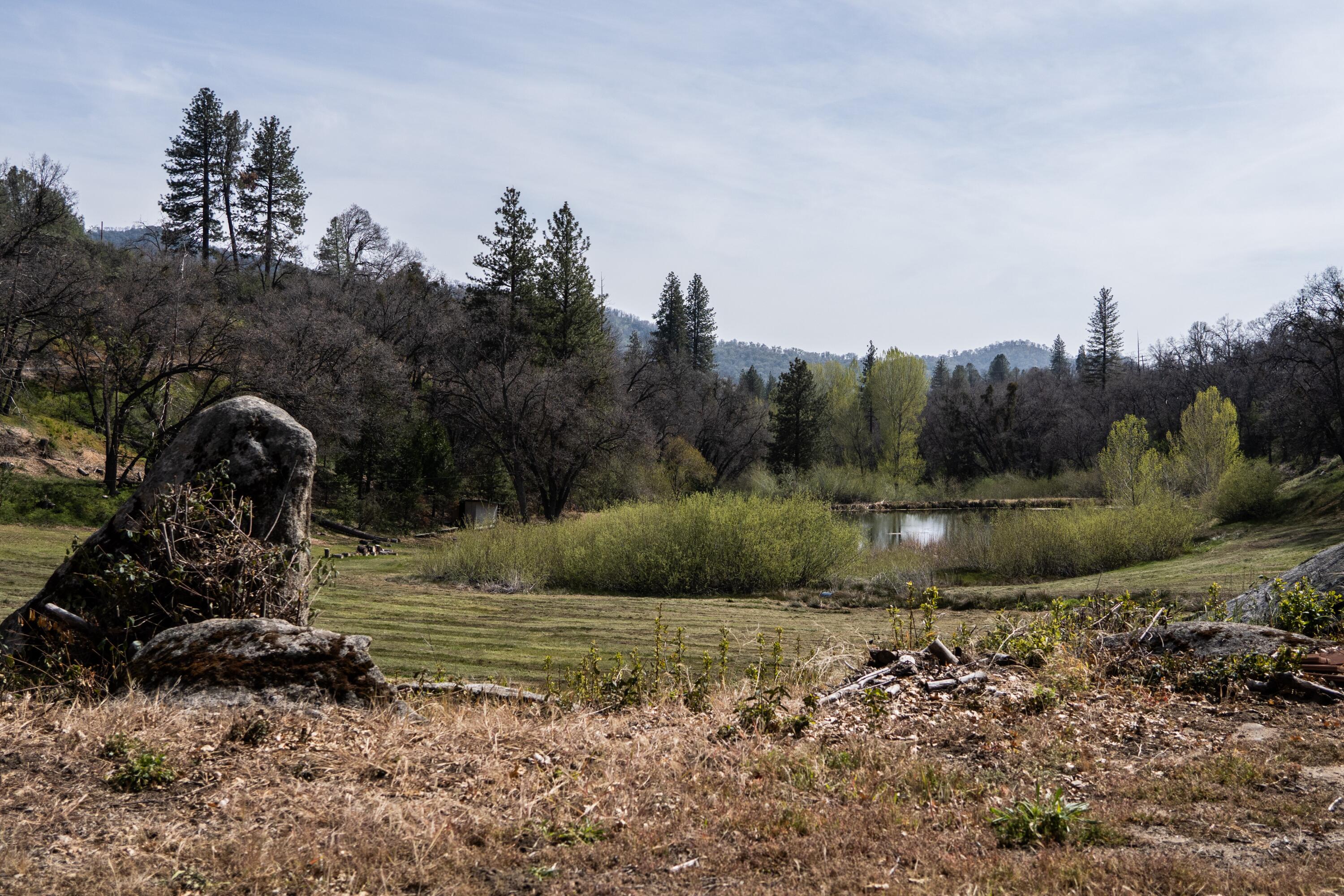 45334 Poso Park Dr, Posey, CA 93260