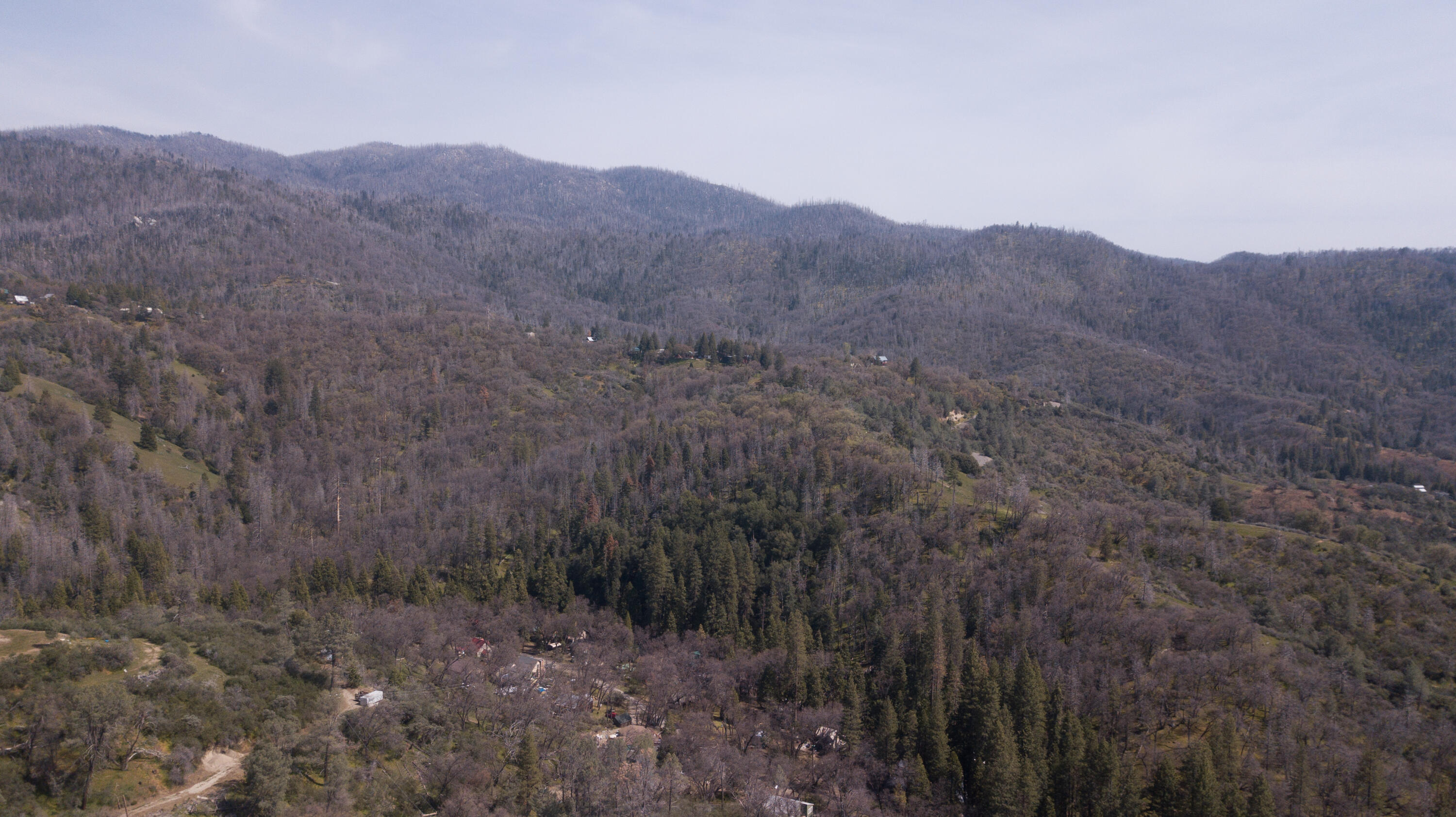 45334 Poso Park Dr, Posey, CA 93260