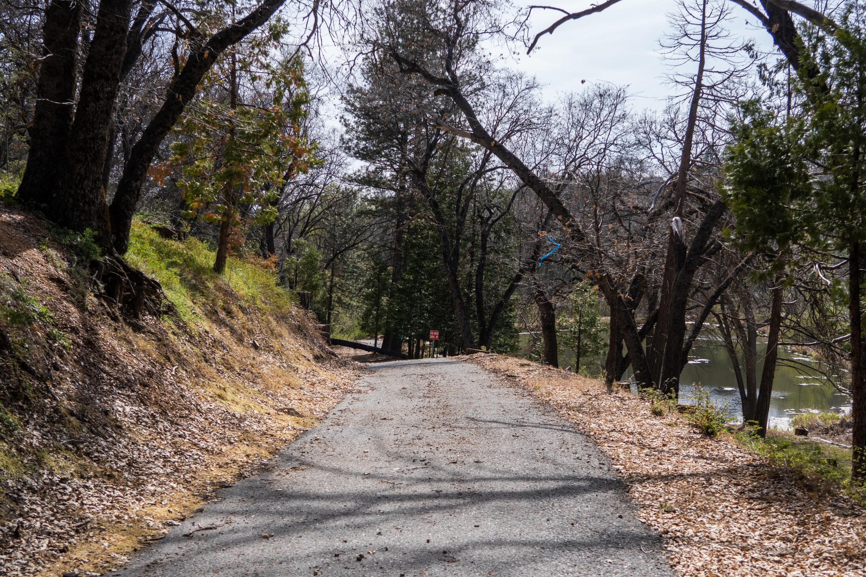 45334 Poso Park Dr, Posey, CA 93260