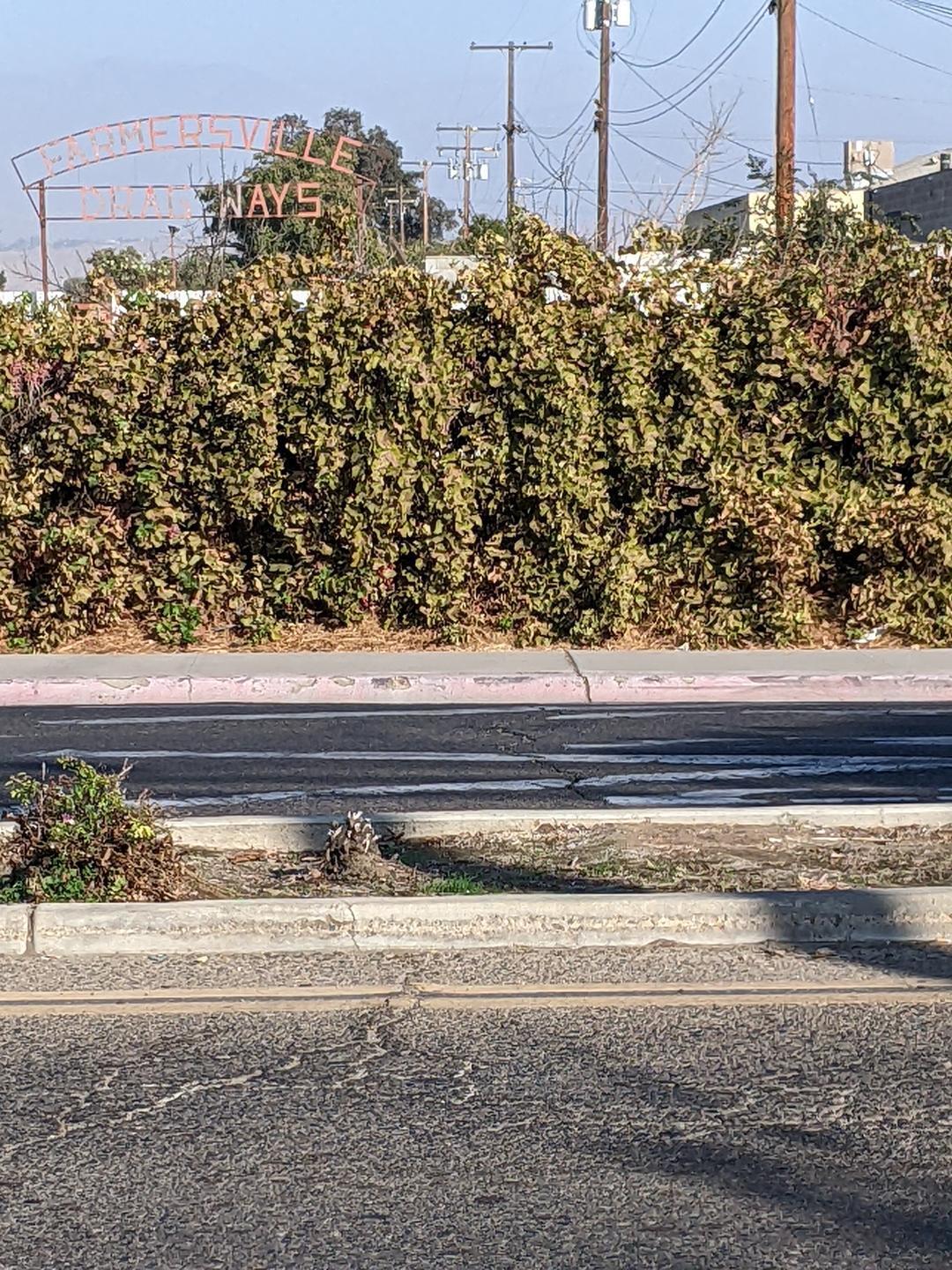 896 Farmersville Rd, Farmersville, CA 93223