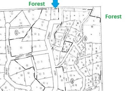 639 Trails End, Camp Nelson, CA 93265