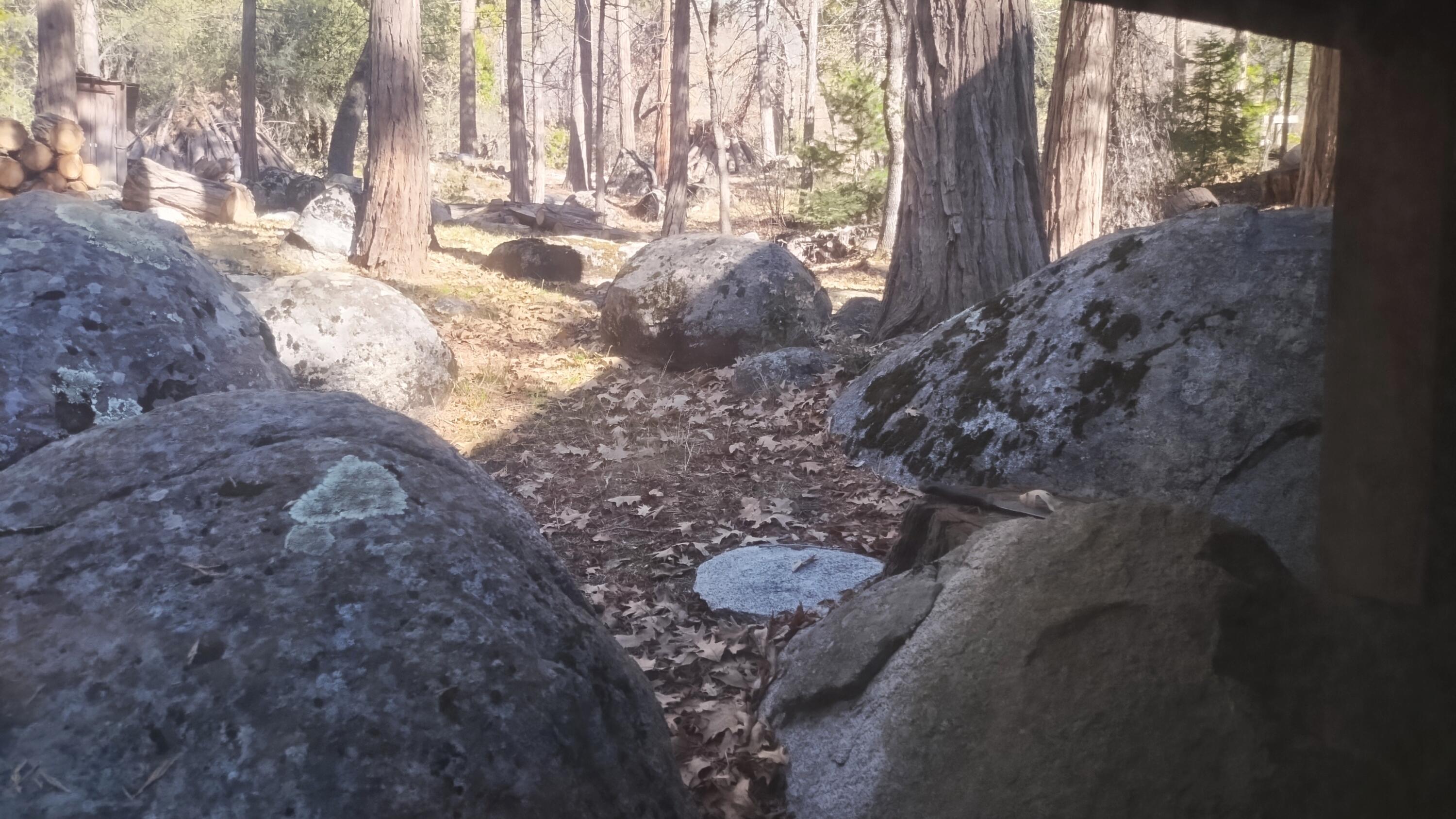 639 Trails End, Camp Nelson, CA 93265