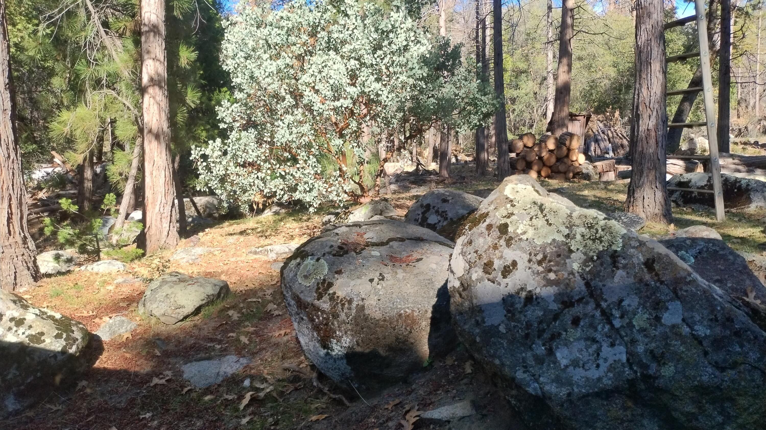 639 Trails End, Camp Nelson, CA 93265